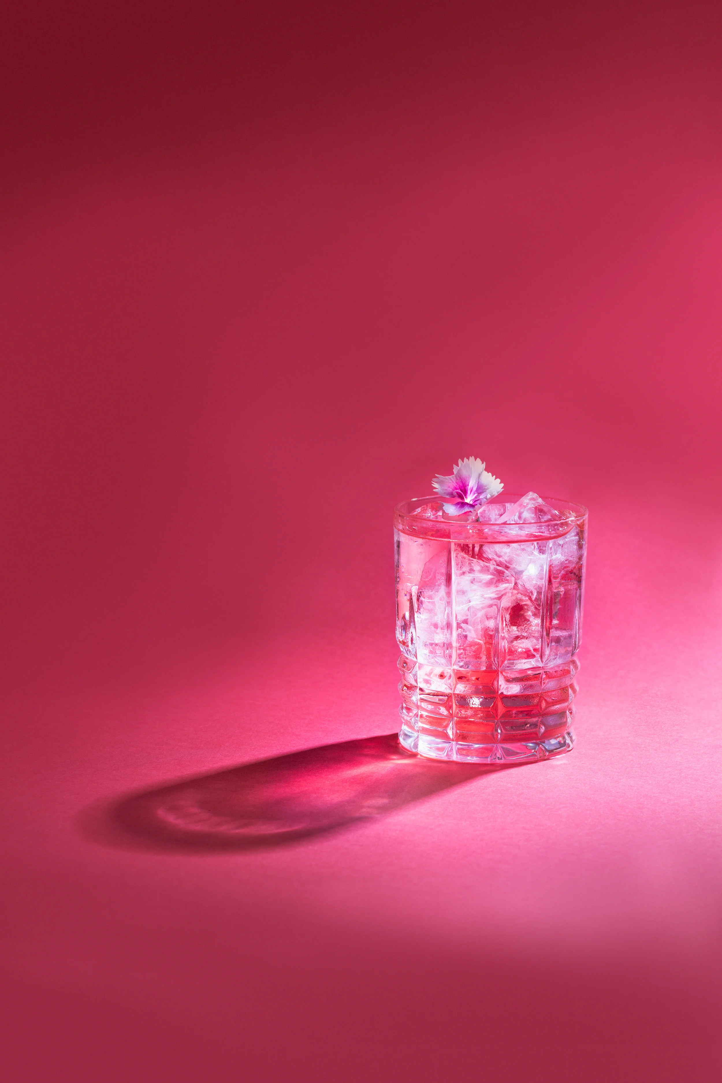 Nelly.leComte.HuskDistillers.SloeGin (1 of 6).jpg
