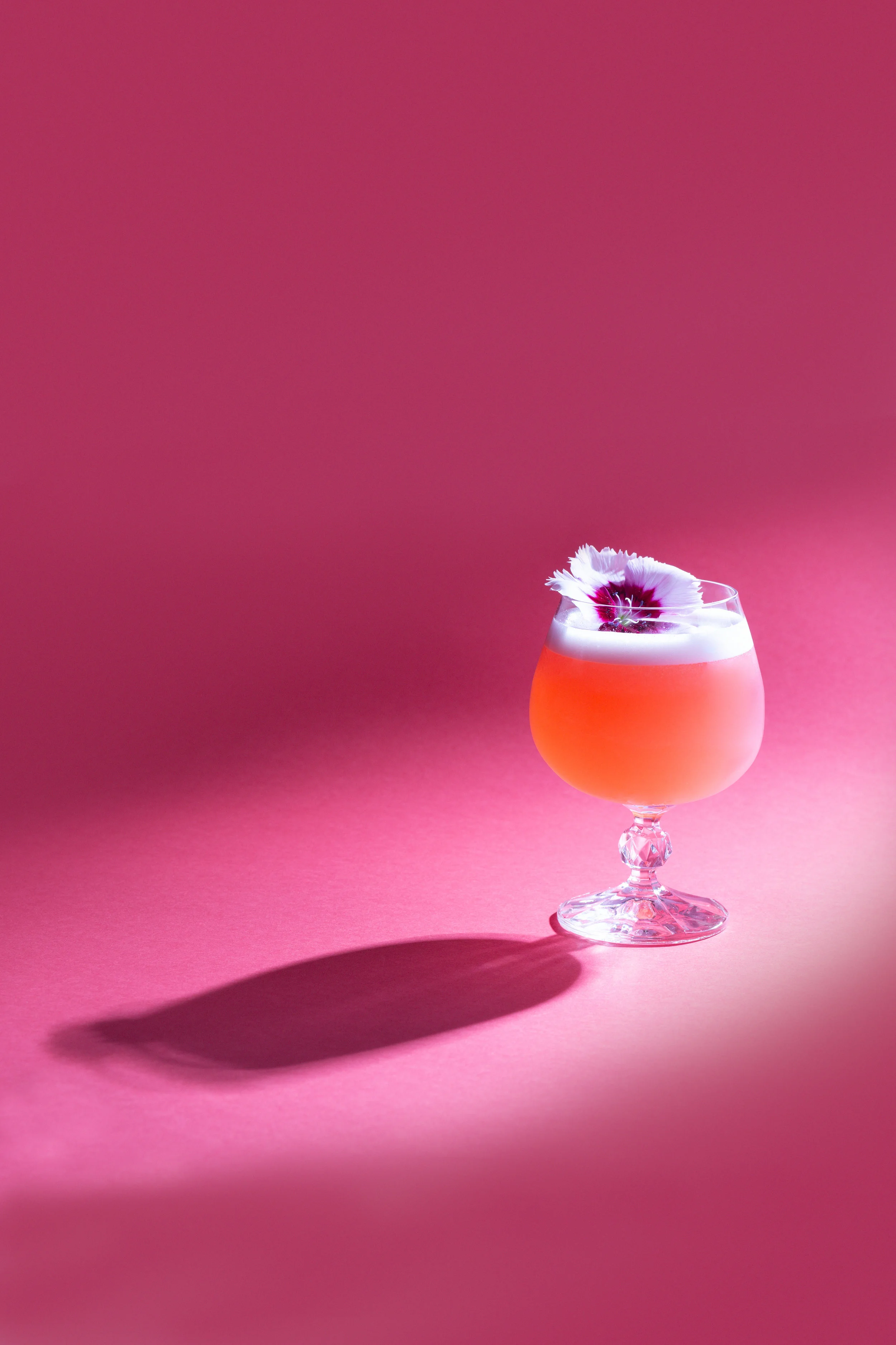 Nelly.leComte.HuskDistillers.SloeGin (5 of 6).jpg