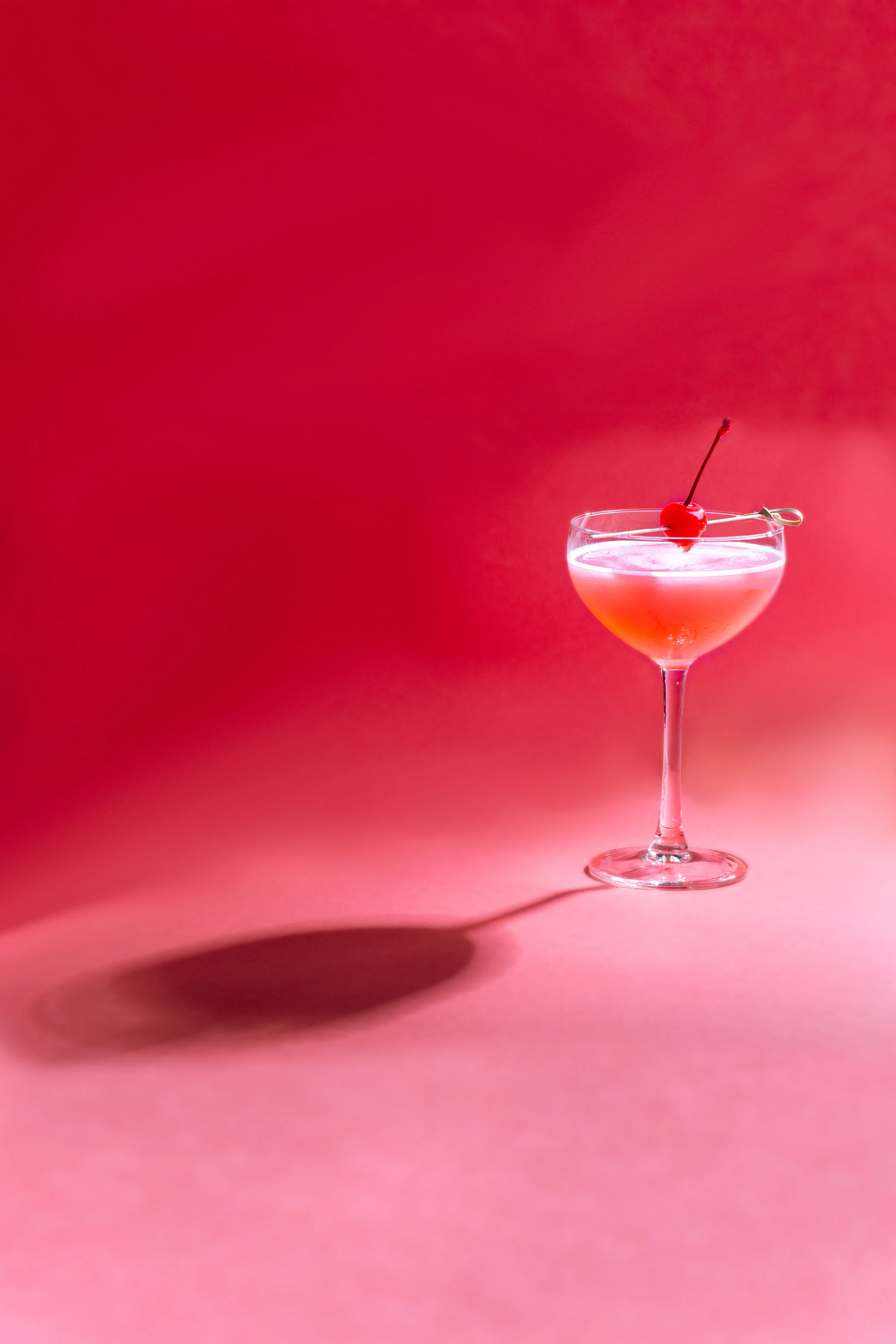 Nelly.leComte.HuskDistillers.SloeGin (6 of 6).jpg