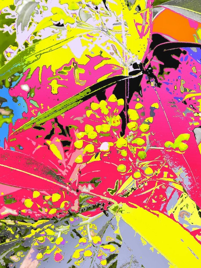 Ink Art Competition Full Shortlist — Ink Gin