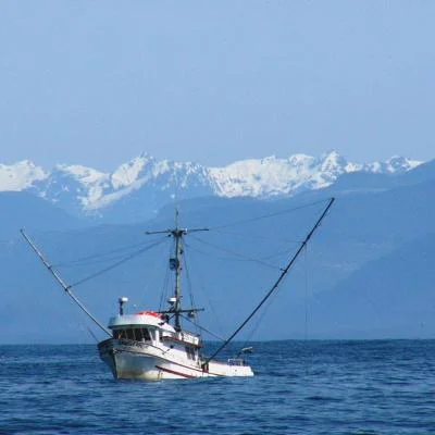 SalmonKing1 copy.jpg