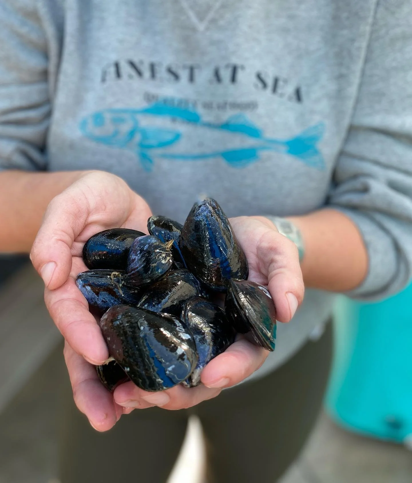 mussel jens hand.jpg