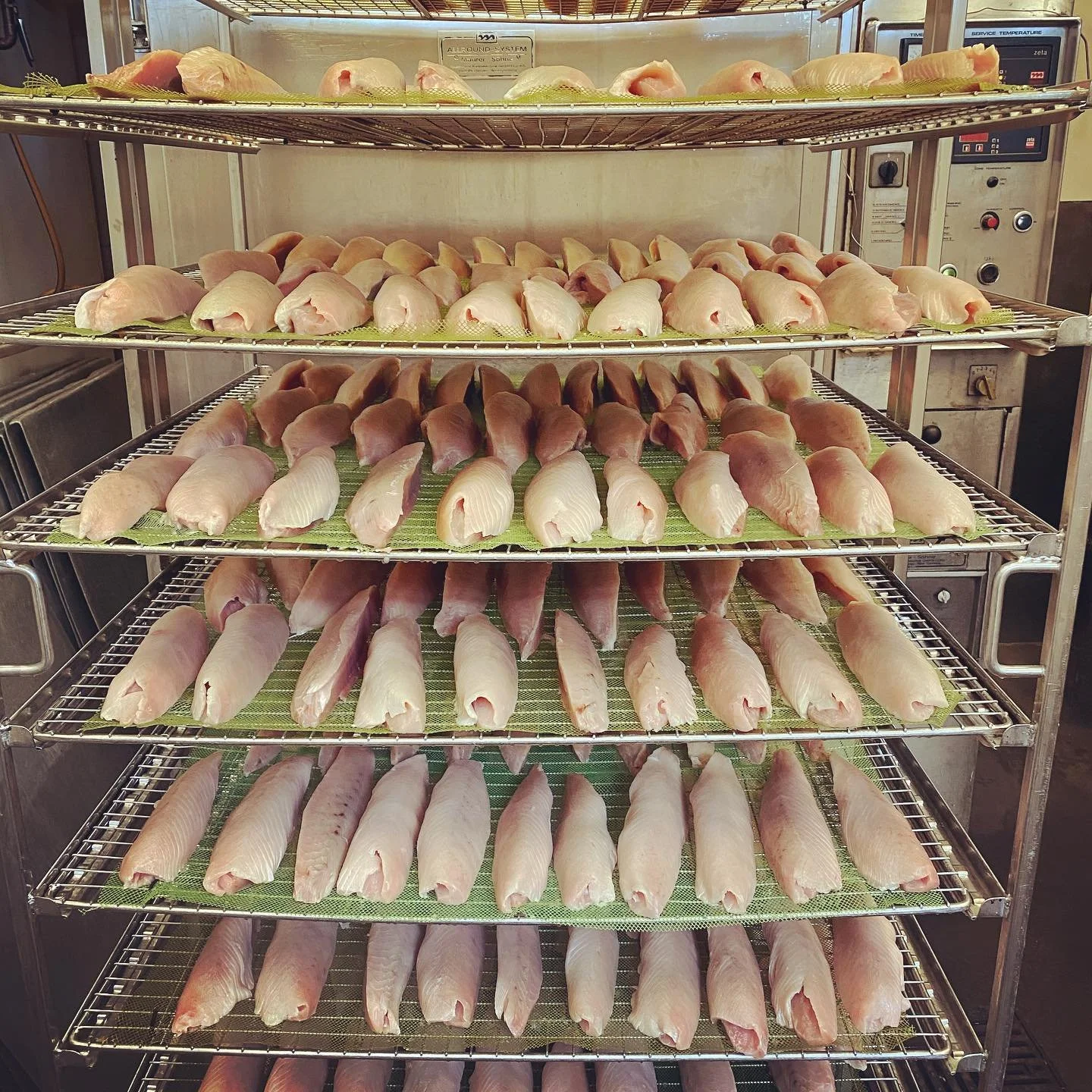 Fish Focus - Albacore Tuna