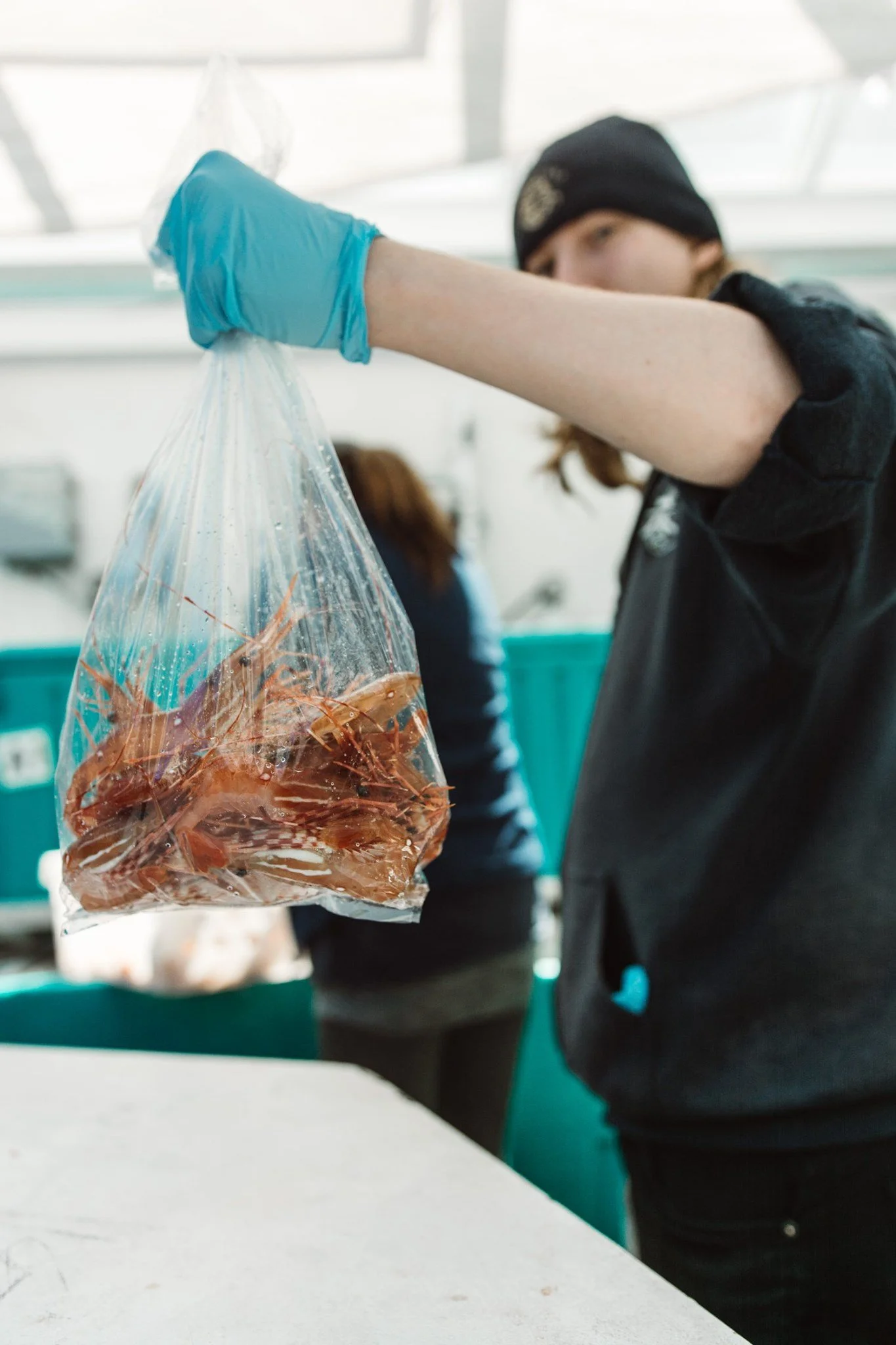 whole prawns in a bag.jpg