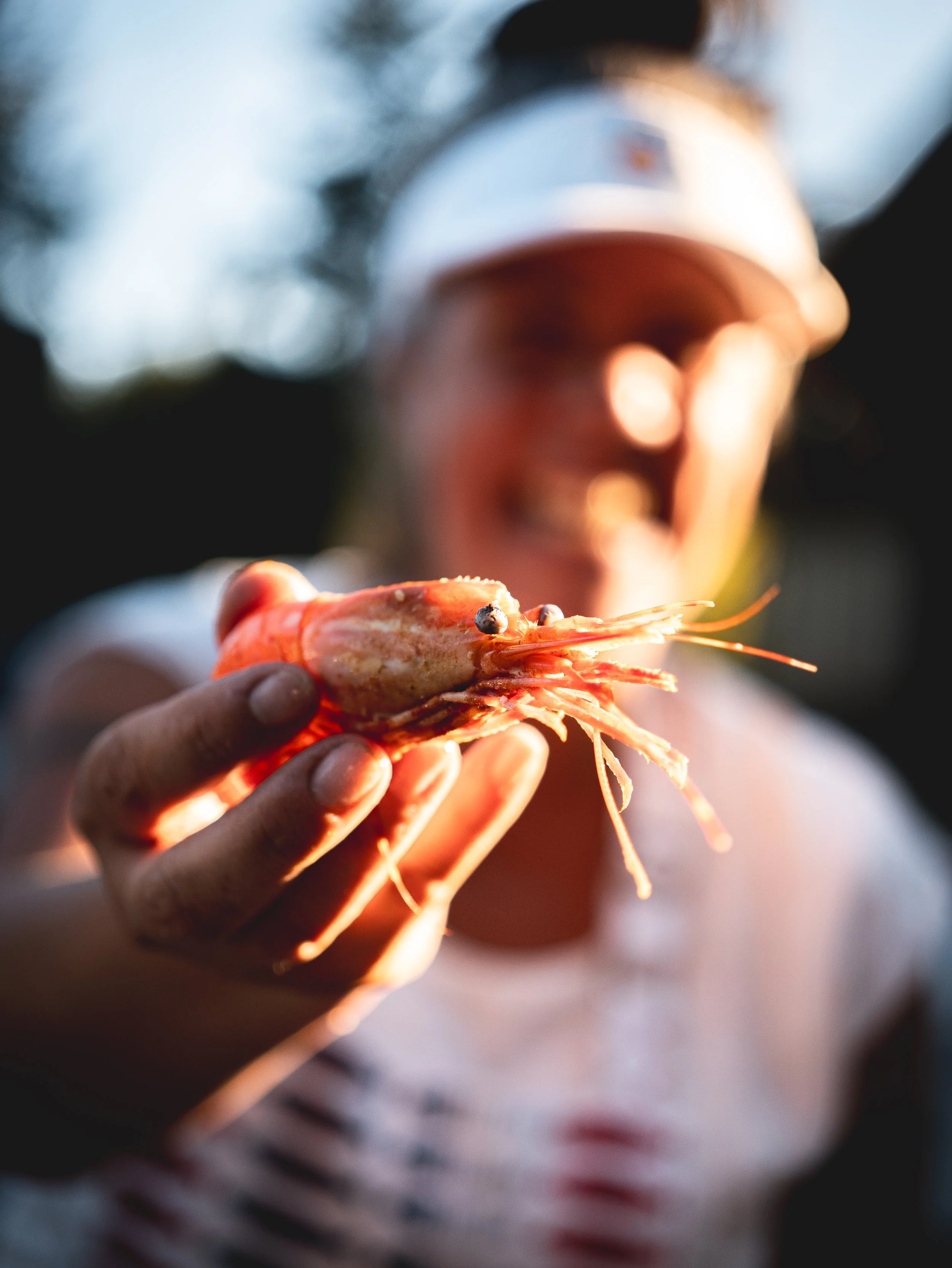 prawn w jen in background.jpg