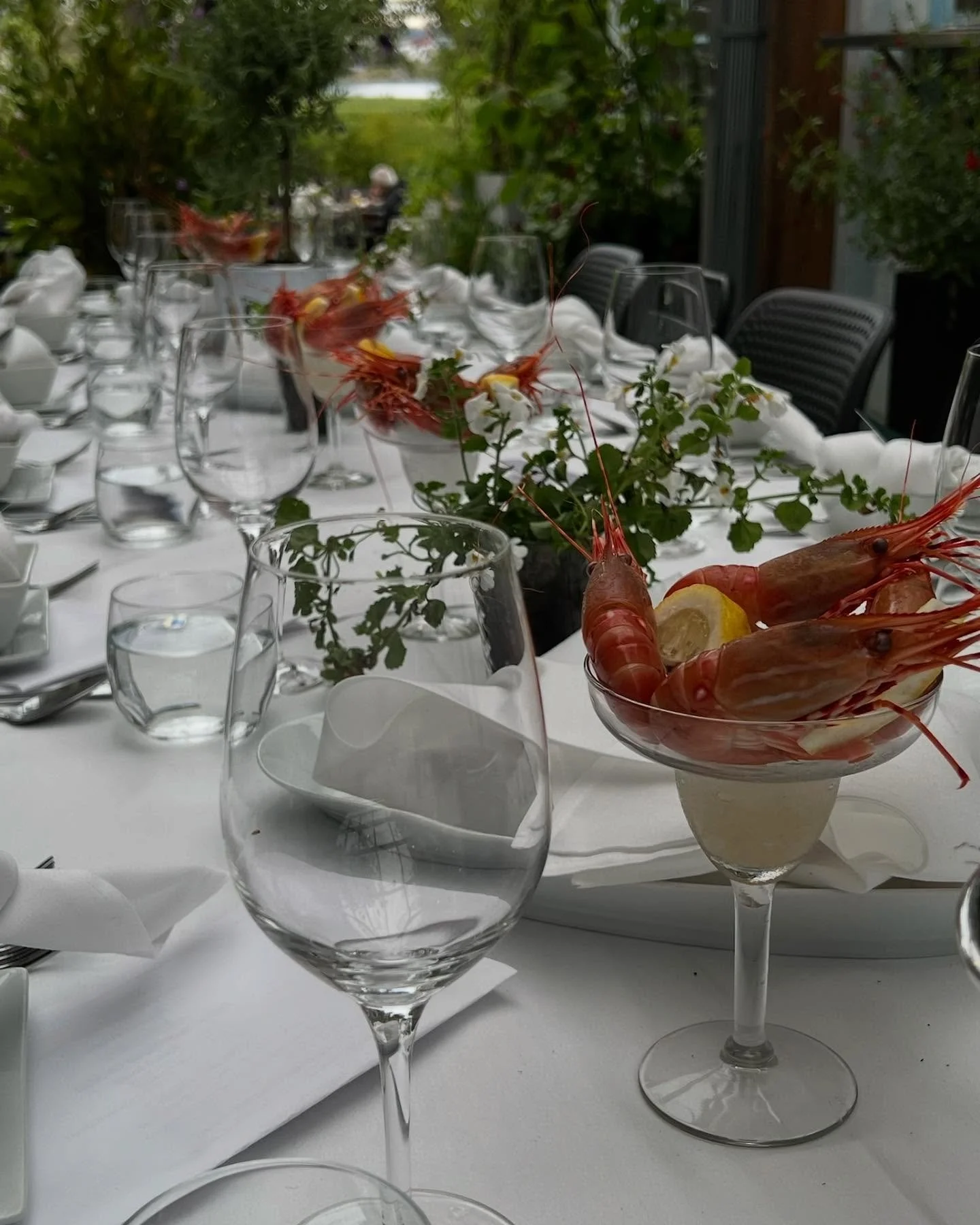 prawn cocktail glassware.jpg