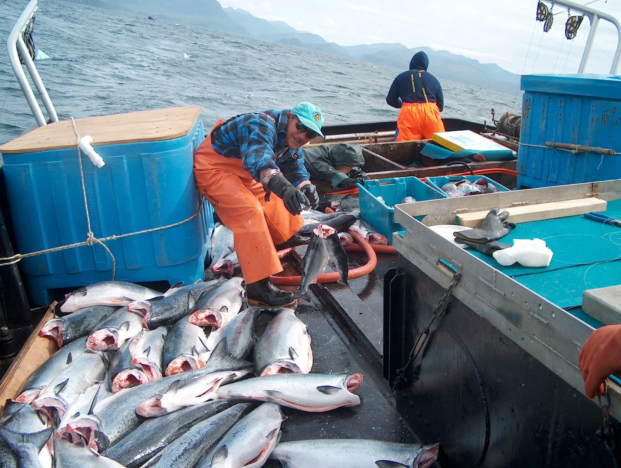 Trolling vs. Trawling: Know the Difference