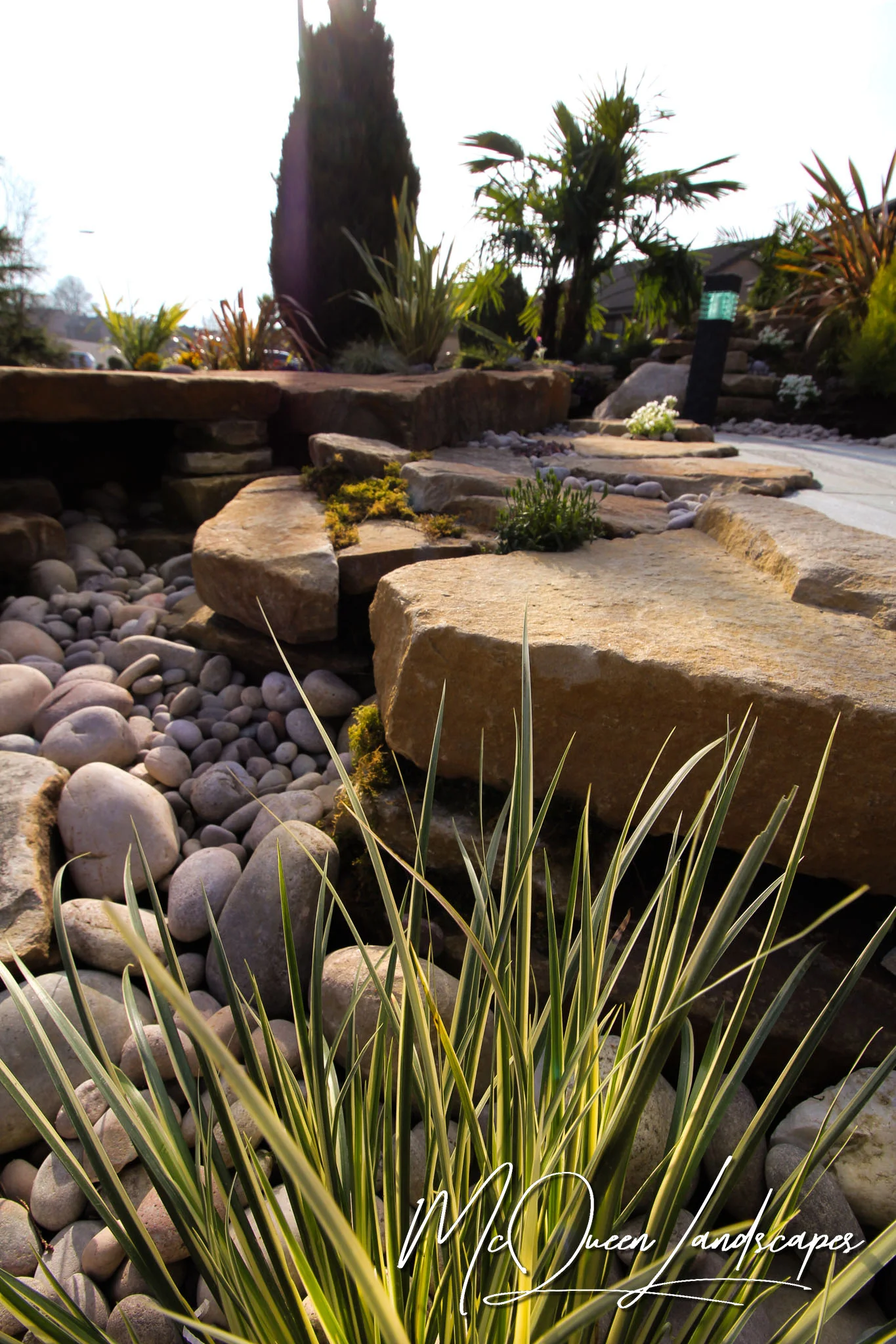 Dry River Bed & Planting