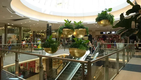 Suspended Plants for Westfield Southland