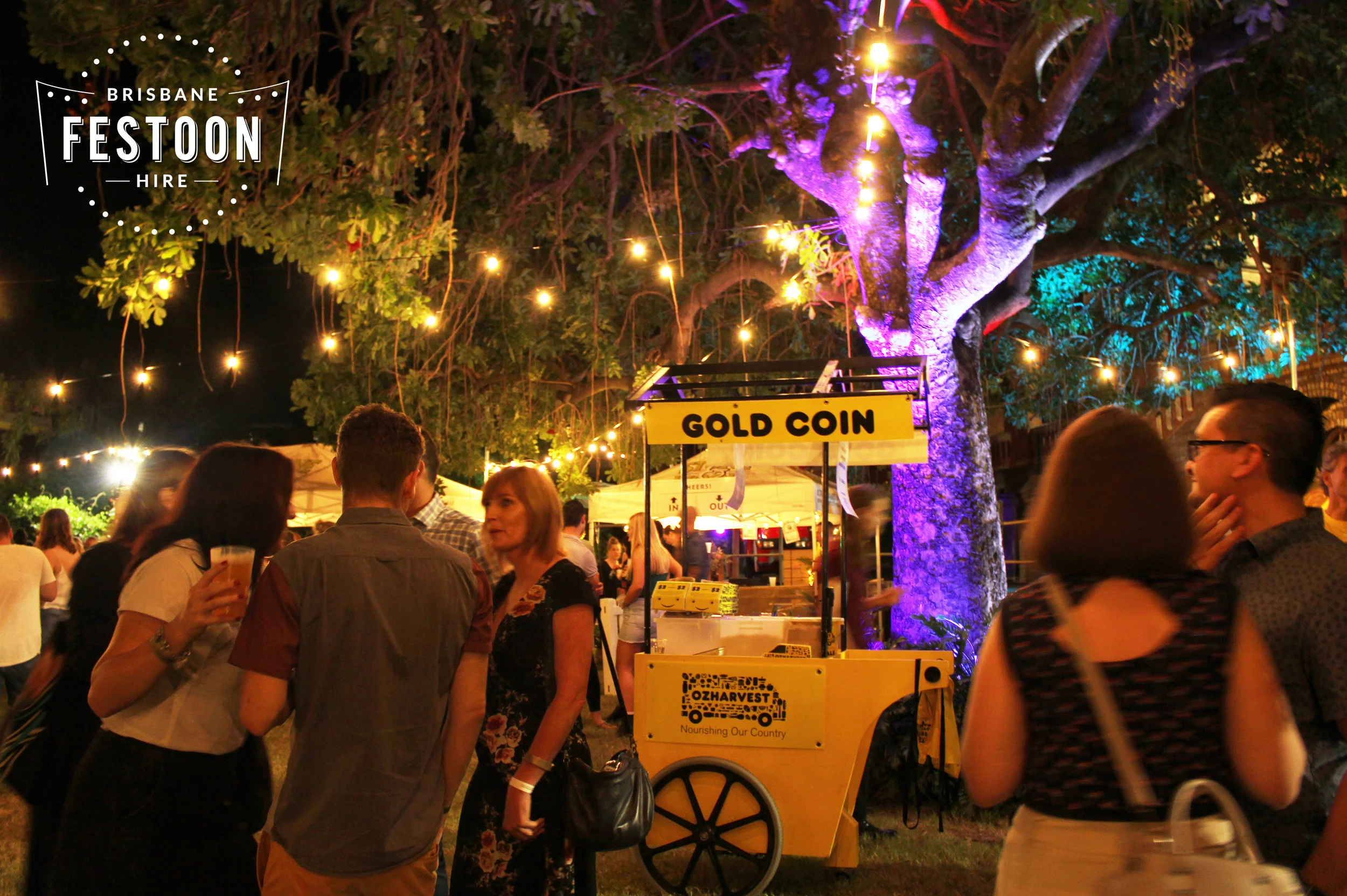 Brisbane Festoon Hire - Old Museum 5.jpg