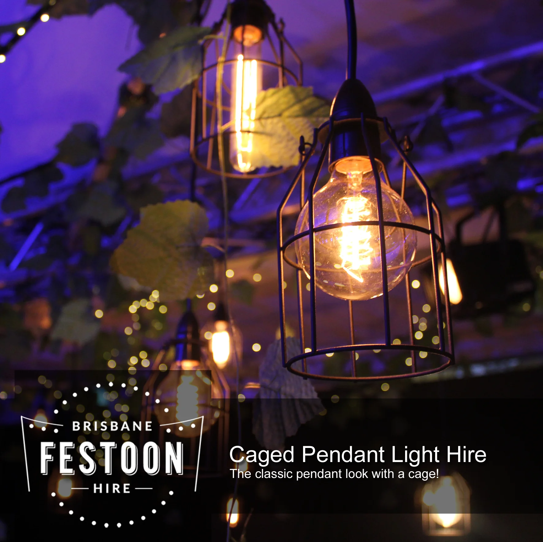 Caged Pendant Light and Edison Bulb Hire