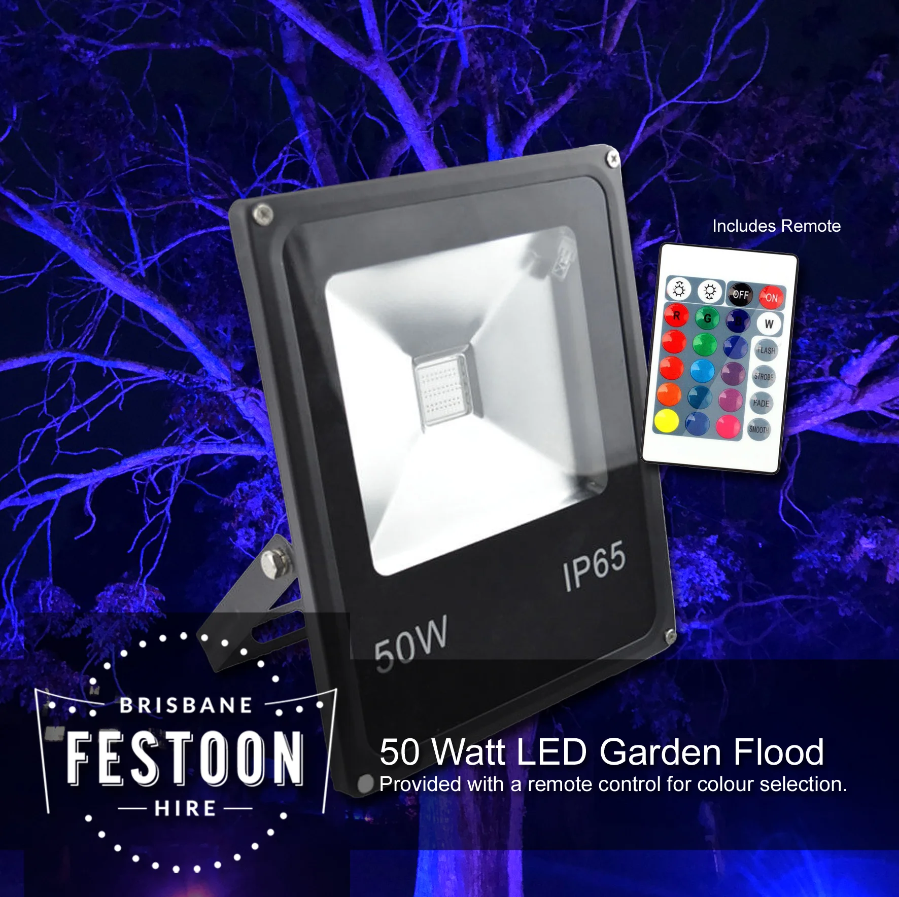50 Watt LED Outdoor Garden Light Hire