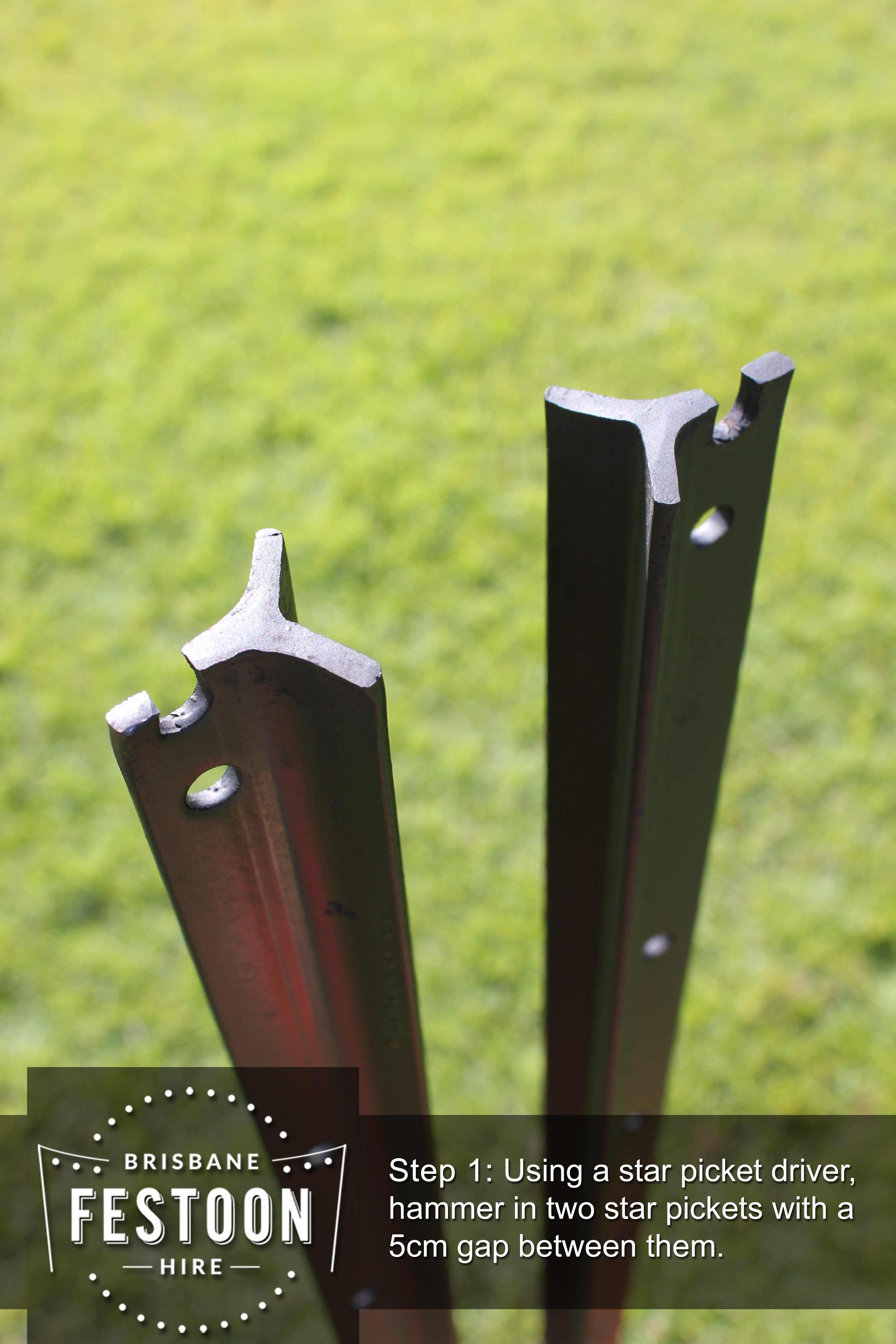 Festoon Pole Hire 1.png