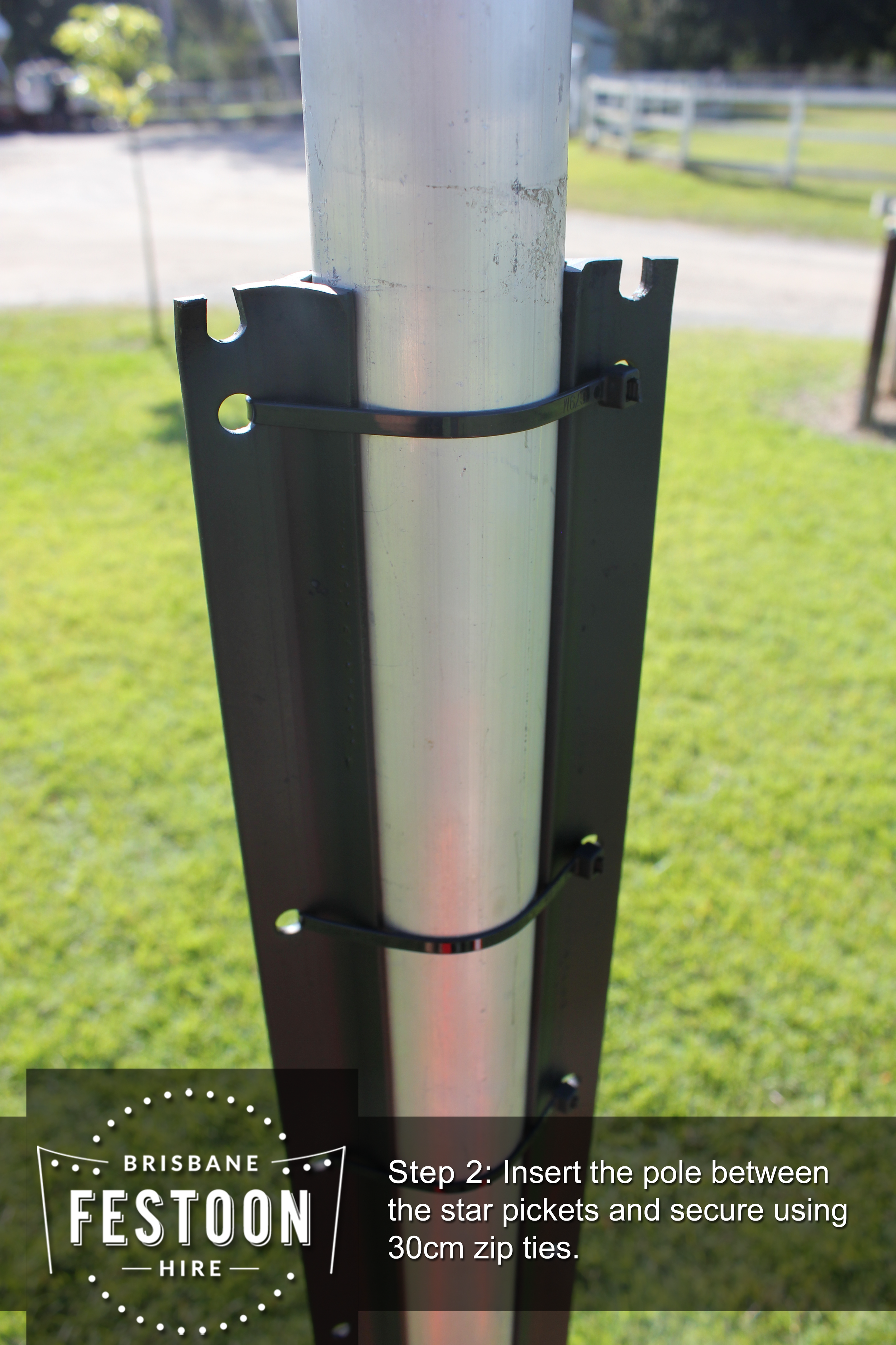 Festoon Pole Hire 2.png