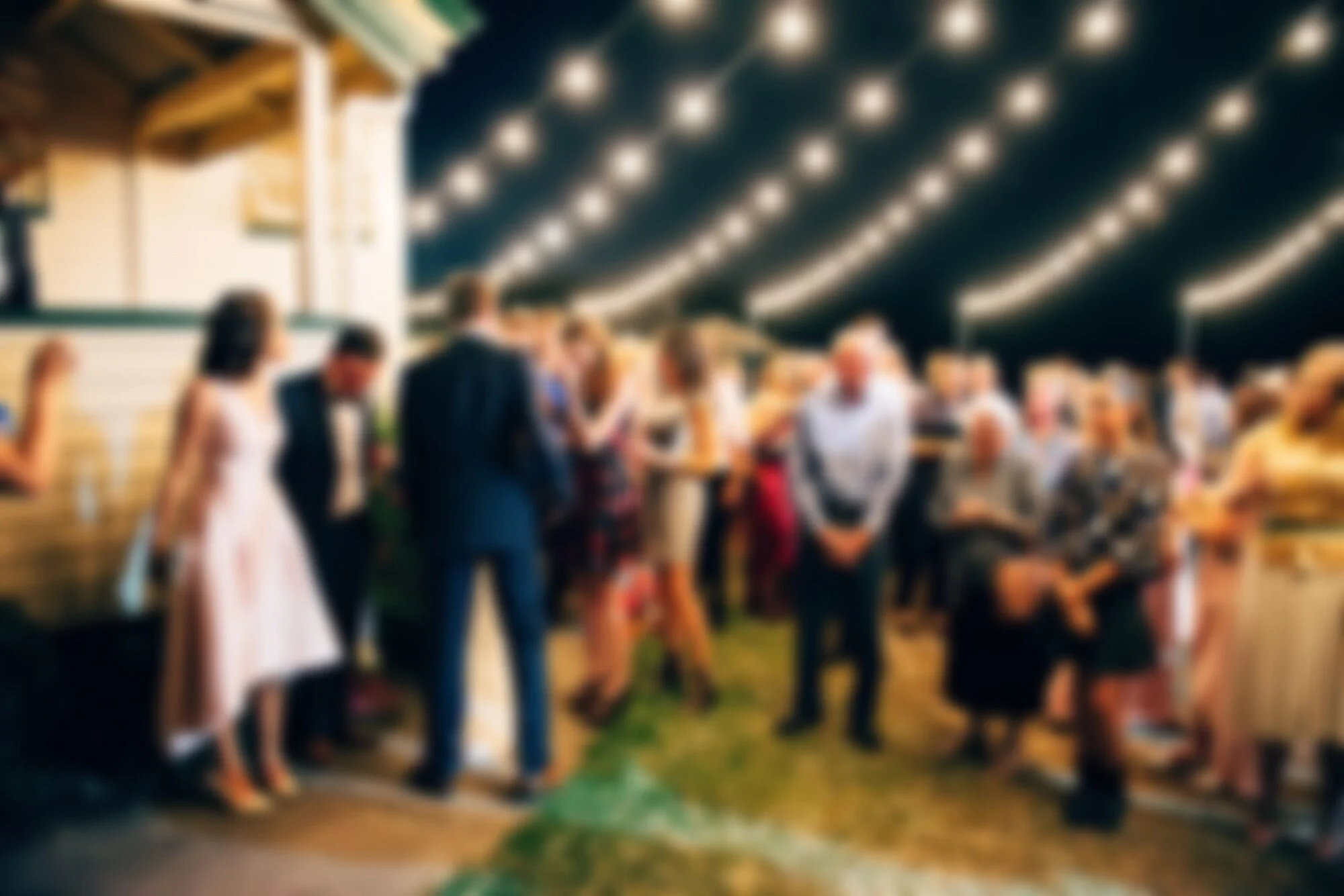 Brisbane+Festoon+Hire+-+Pullenvale+Wedding+1.jpg