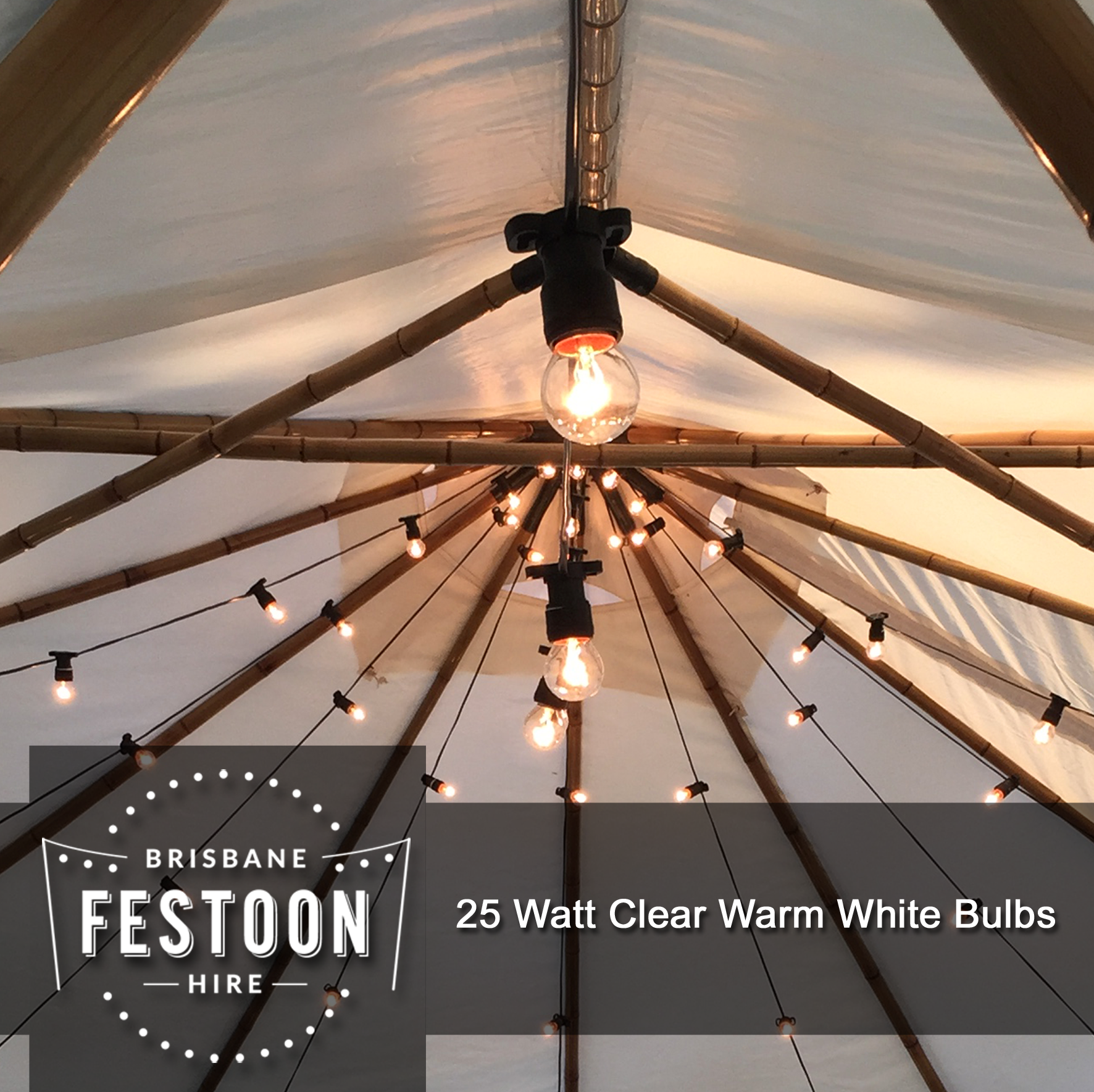25 Watt Clear Warm White Bulb Example.png