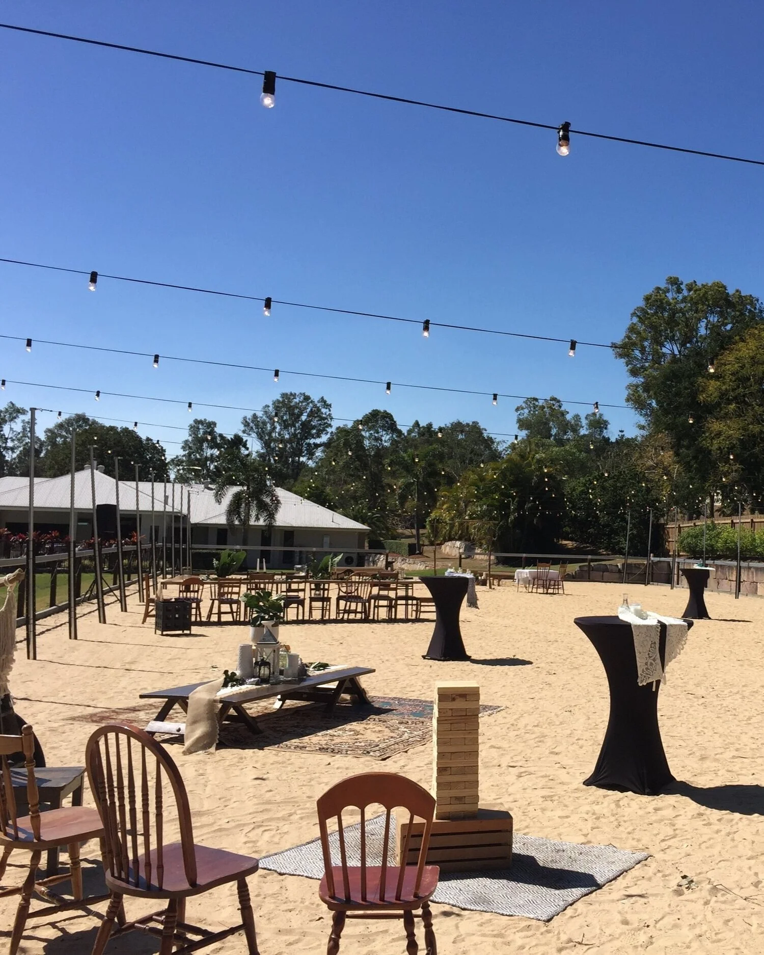 Parallel Festoon Canopy Package