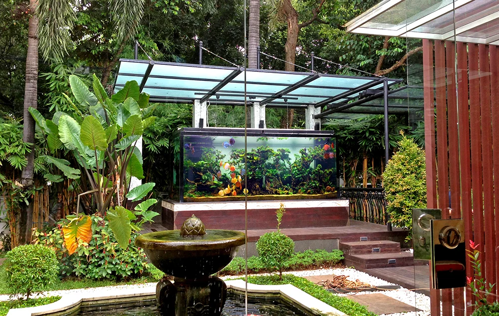3500 Gallon Outdoor Discus Setup