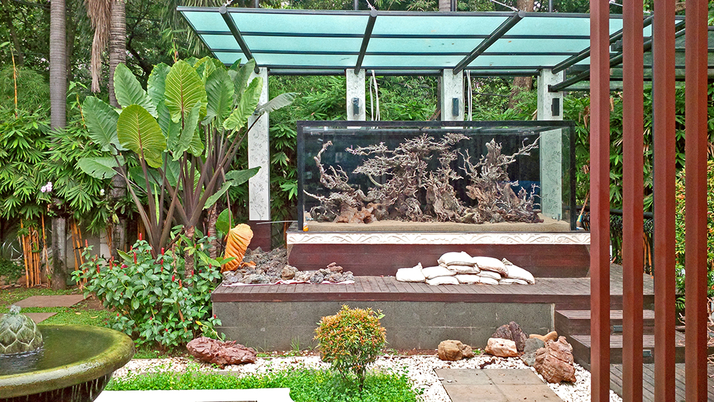 tank building in progress, hardscape structure almost completed (wood, stones and substrate)
