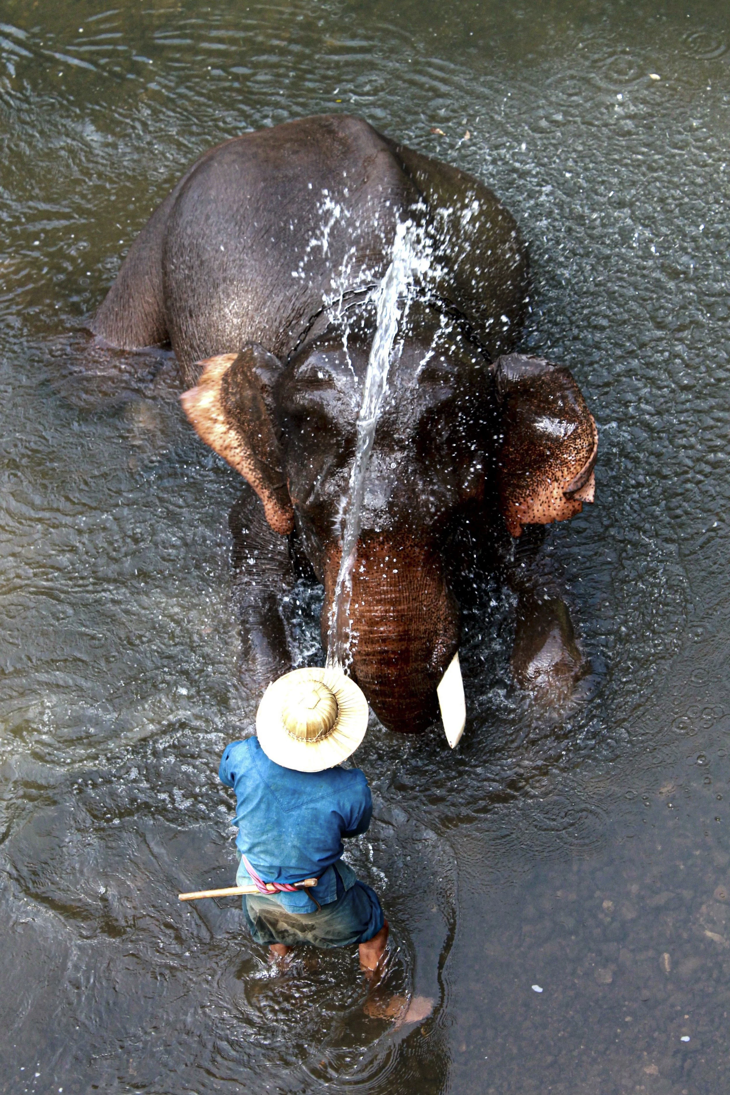  Thailand, 2017. 
