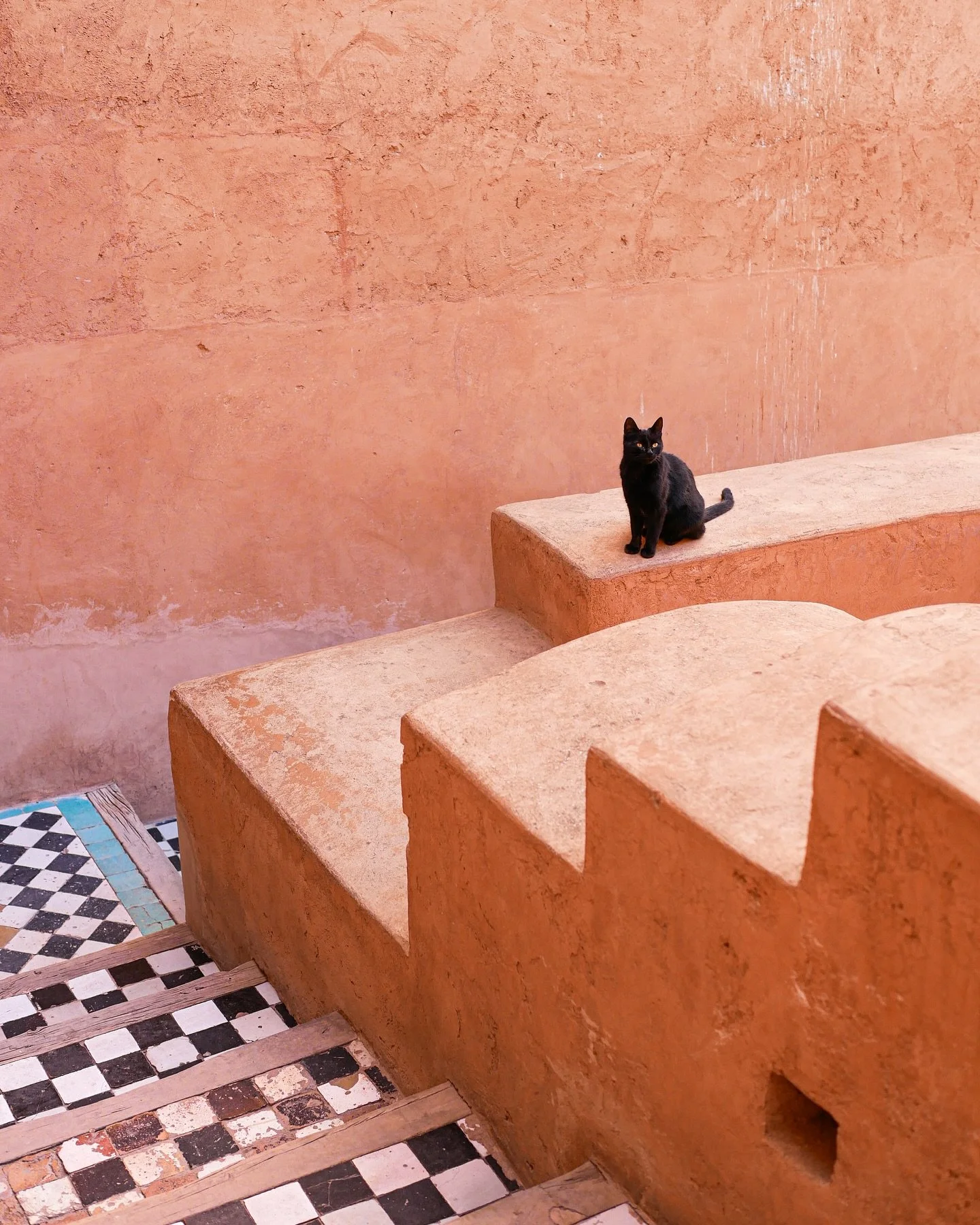 El Badi Palace, Marrakech, 2023. 

#marrakech #moroccotravel #everydayafrica #spi_animals #streetizm #travelphoto #everydayeverywhere #afarmag