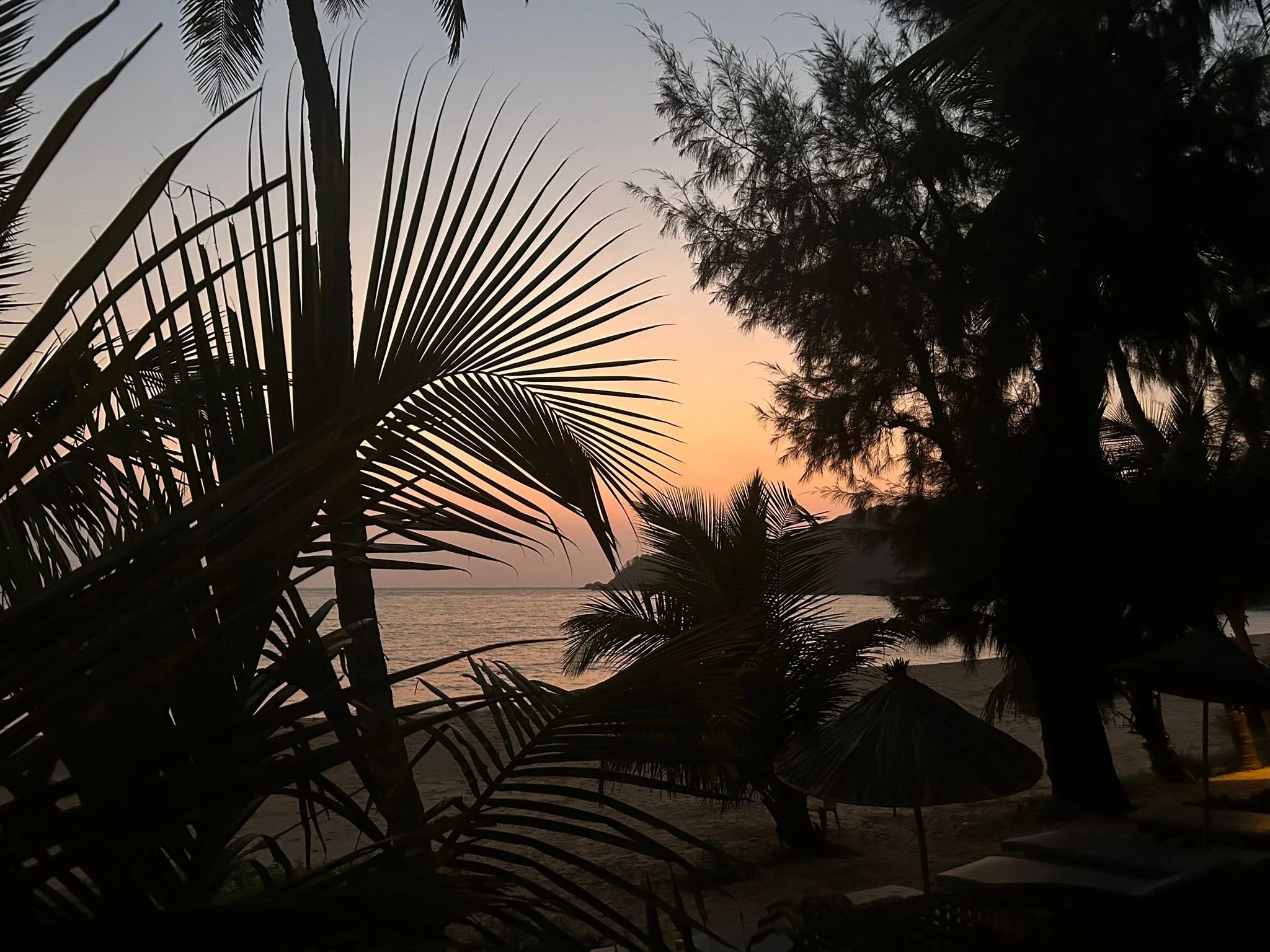 Goa retreate landscape.JPG