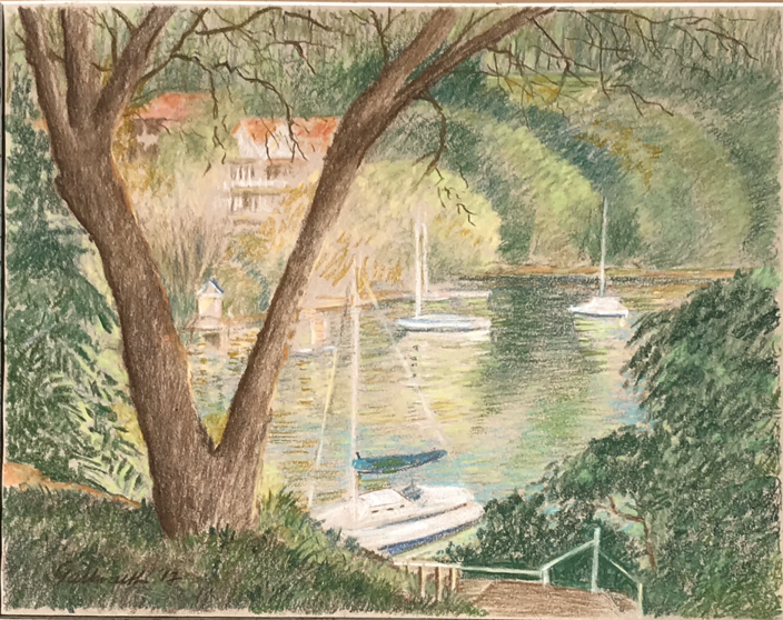 Hunters Hill View