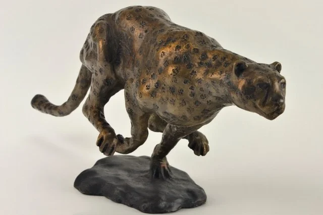 The Cheetah