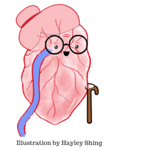 The Myth of the Ageing Placenta - Sophie Messager