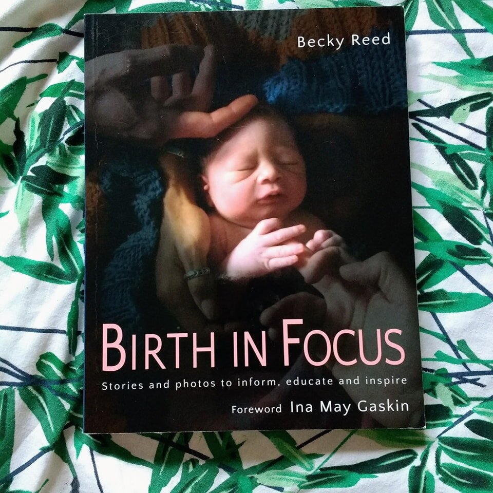 Someone asked for my birth book recommendations, so here are some from my top ten 

- Birth in Focus, Becky Reed
- Why Induction Matters, Rachel Reed
- How to Have a Baby, Natalie Meddings
- Am I Allowed?, AIMS
- The First 40 Days, Heng Ou

Get these
