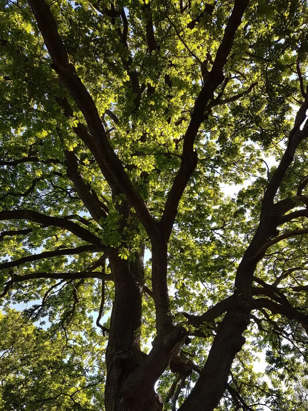 Just a post to say if you find your way here looking for a doula and this post is quite old - I'm just having some time away from social media for a few months. I'll be back.

I'm still supporting birth, I'm still running antenatal education, I'm sti