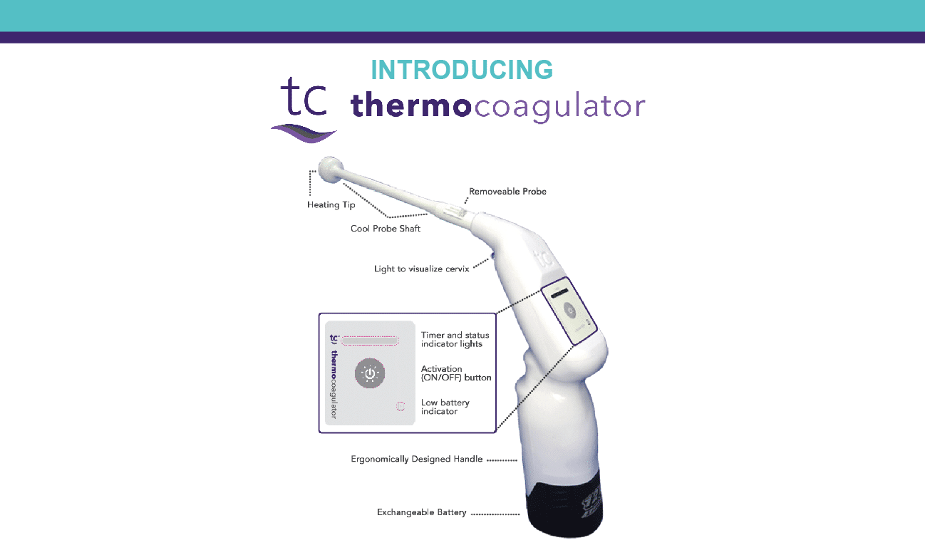 Thermocoagulator.png