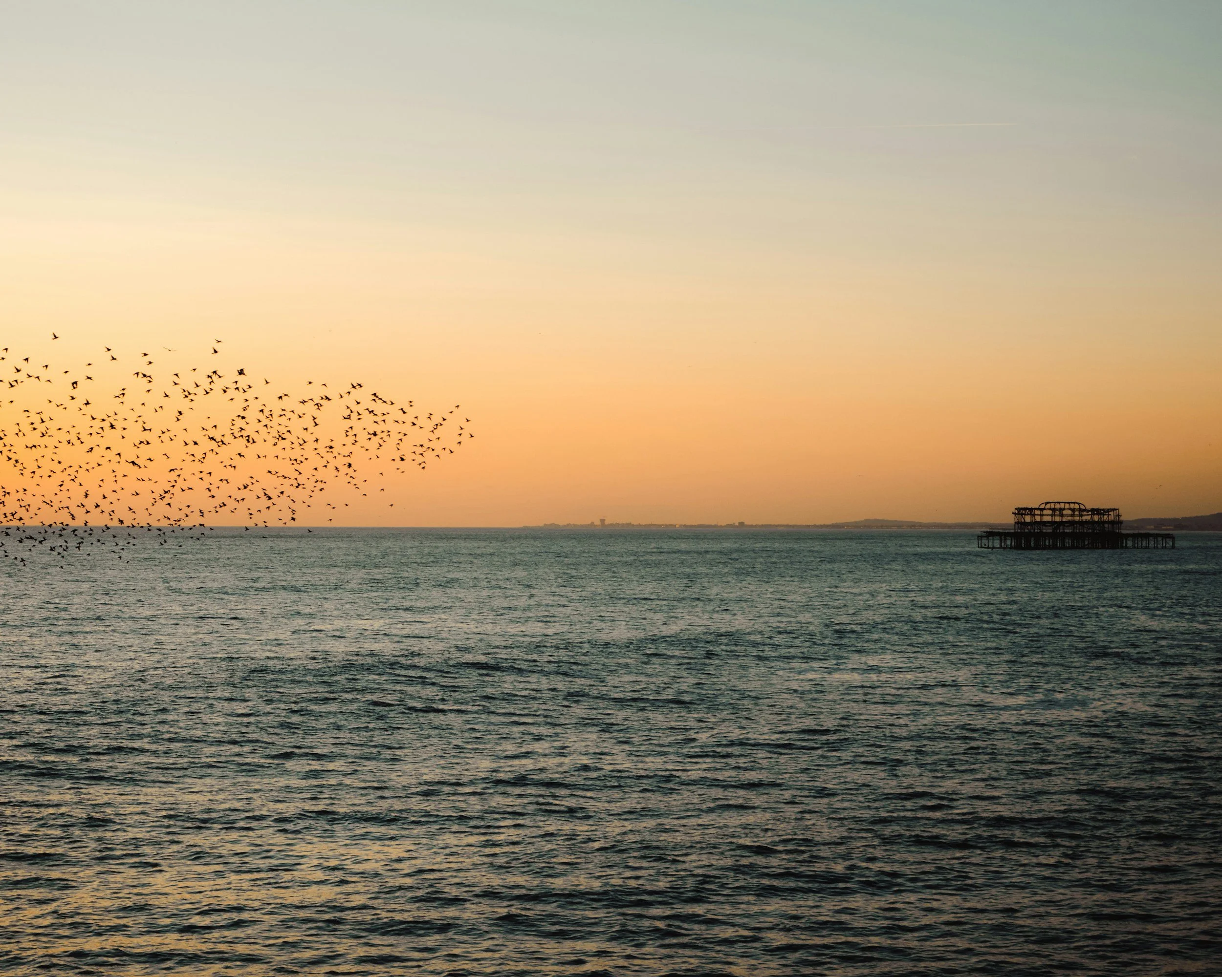 unsplash-image-iy4evPNLvxg.jpg