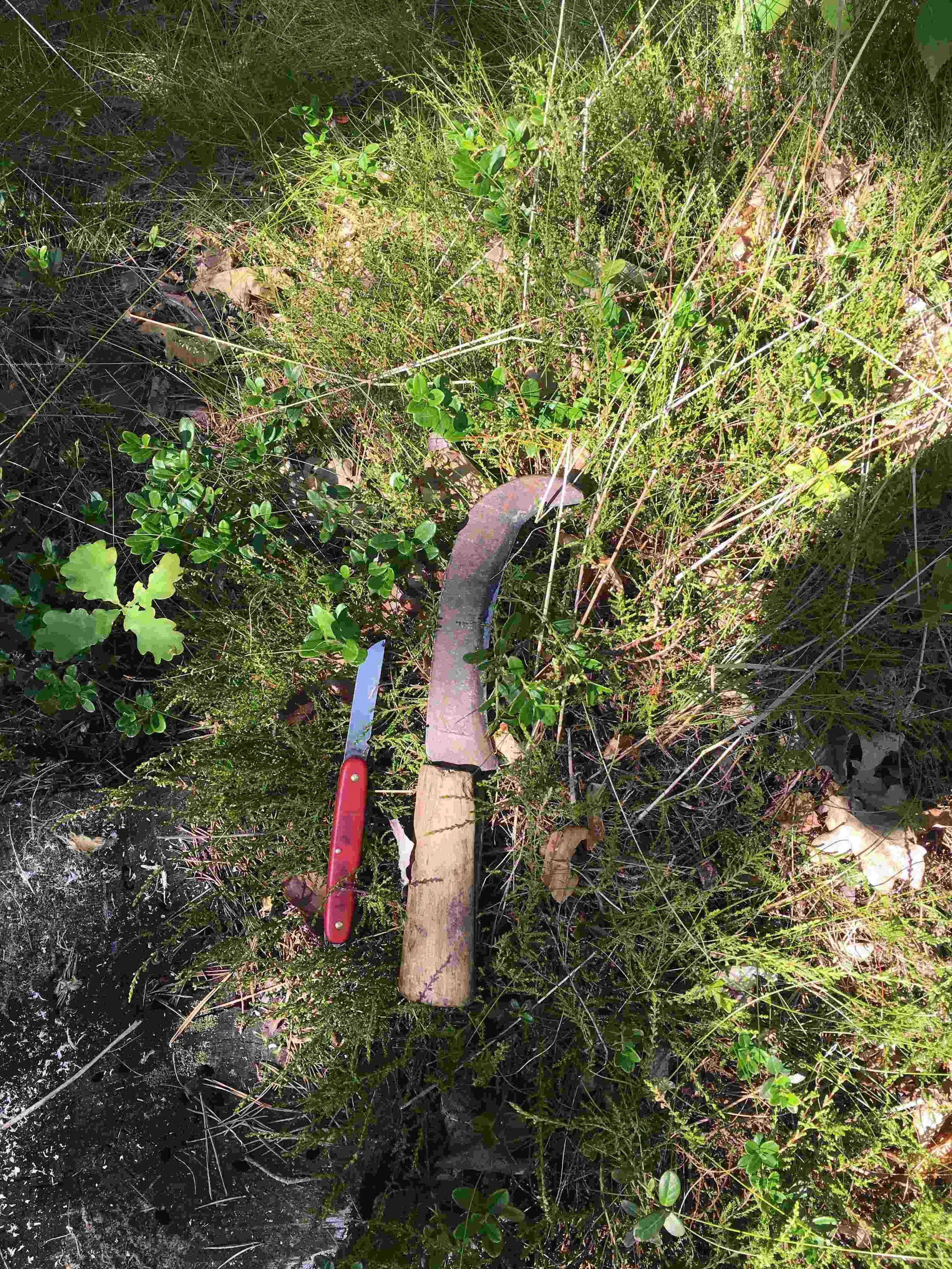 My tools grew