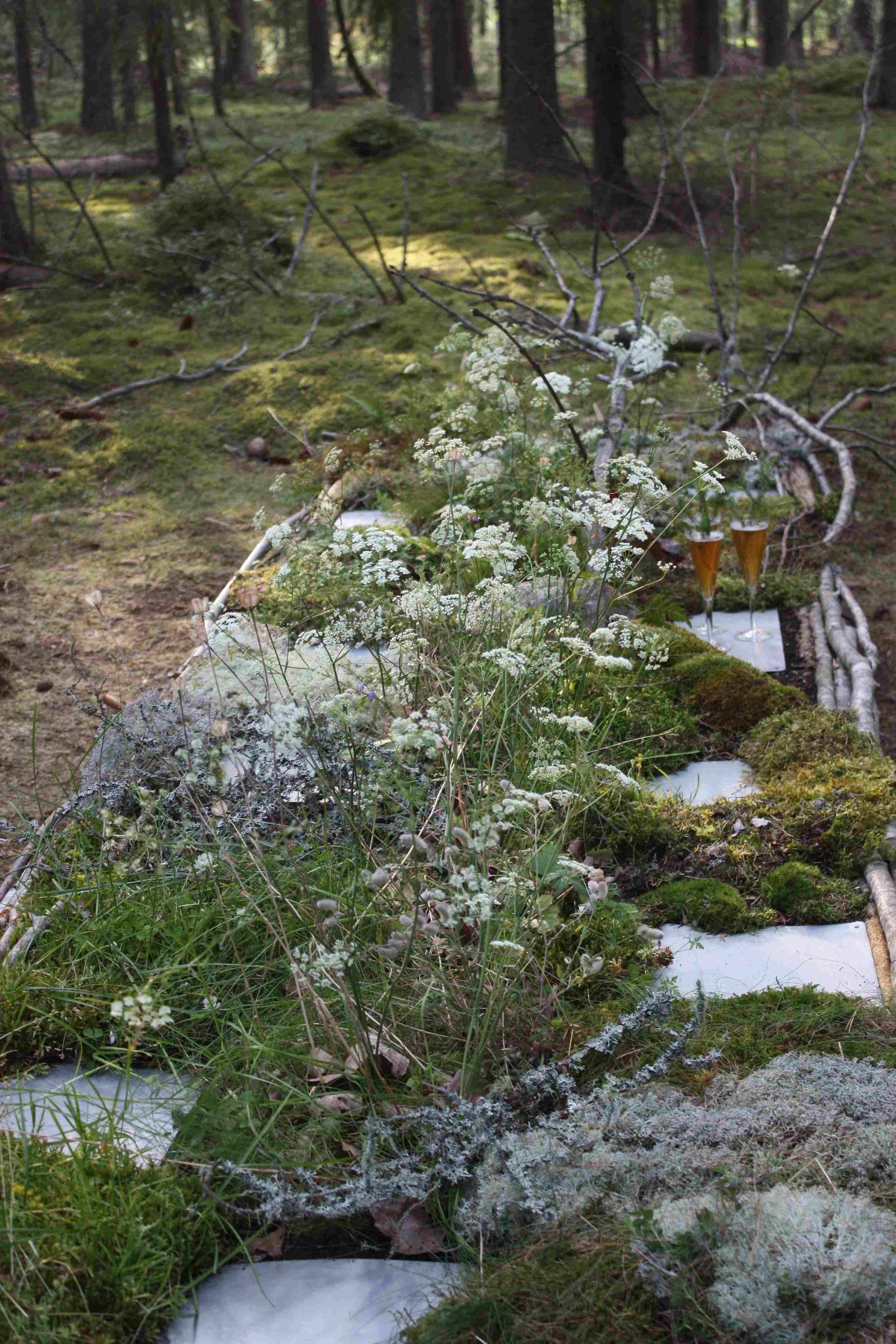 Anthriscus sylvestris
