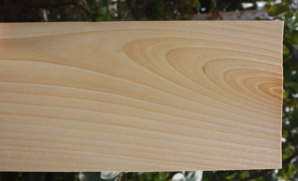 image_0740ef50-8ec1-42c6-9ca9-53905faeb872.png