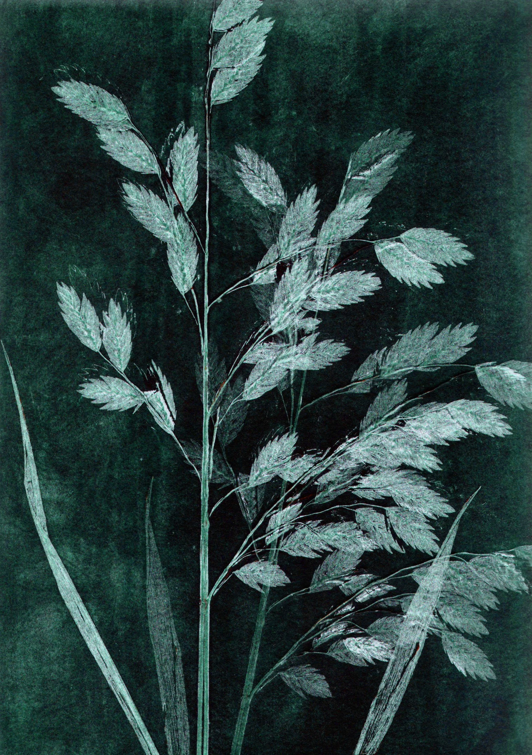 A5.grass.petrol.jpg