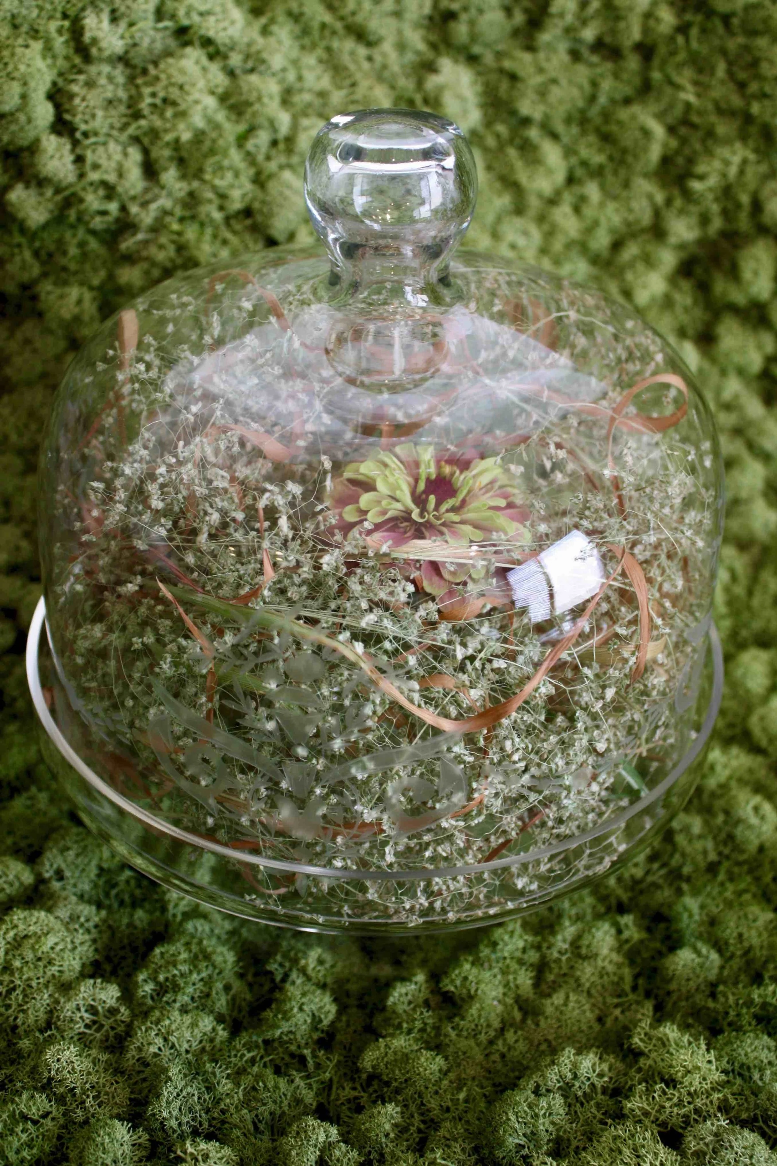 Glass on moss. Moss is just the always perfect background for anything. Anything with a contrast, to say correctly. From my lessons.