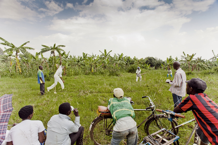Plantation cricket .png