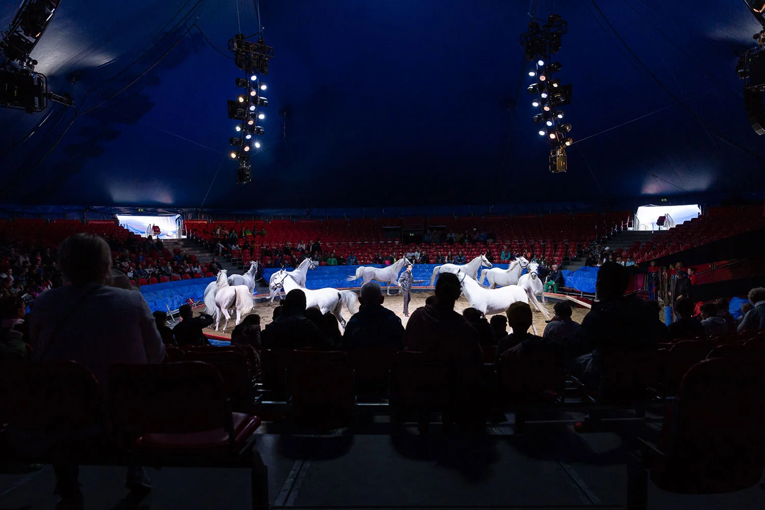 Laureus_2019_Show1_300dpi-3369_web.jpg