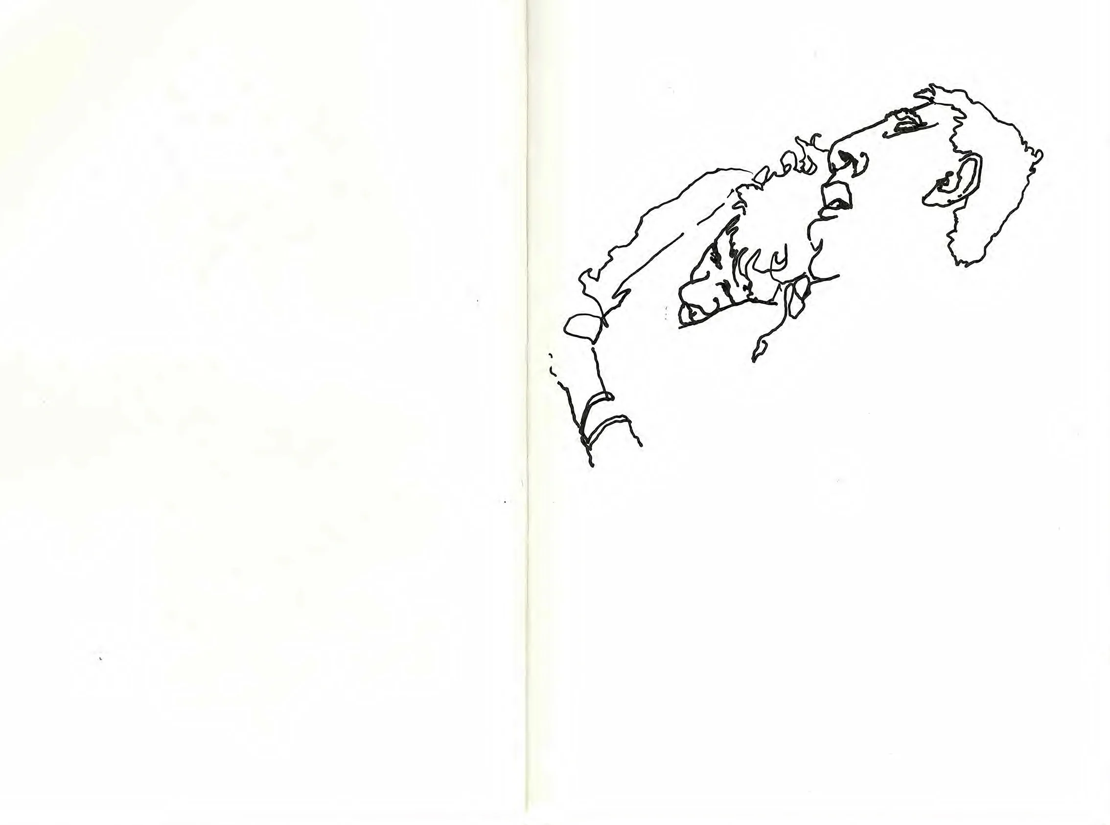 Whiten_sleeping lovers_drawing_illustration.jpg