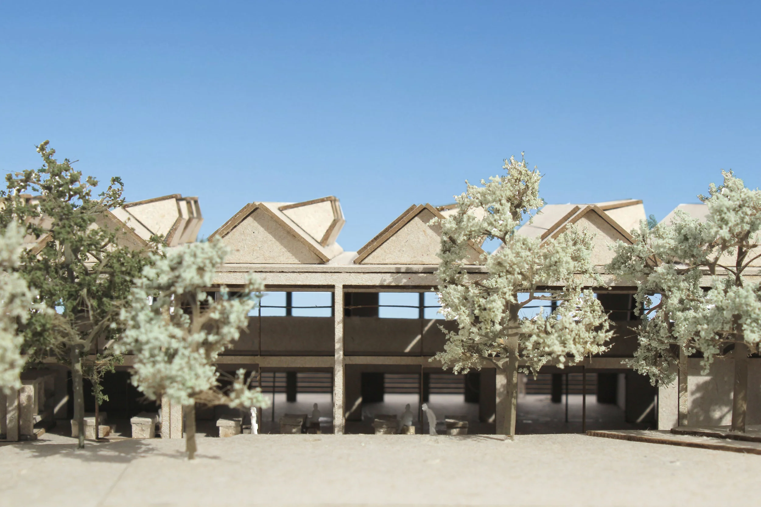 Somerset College_Model west elevation.jpg