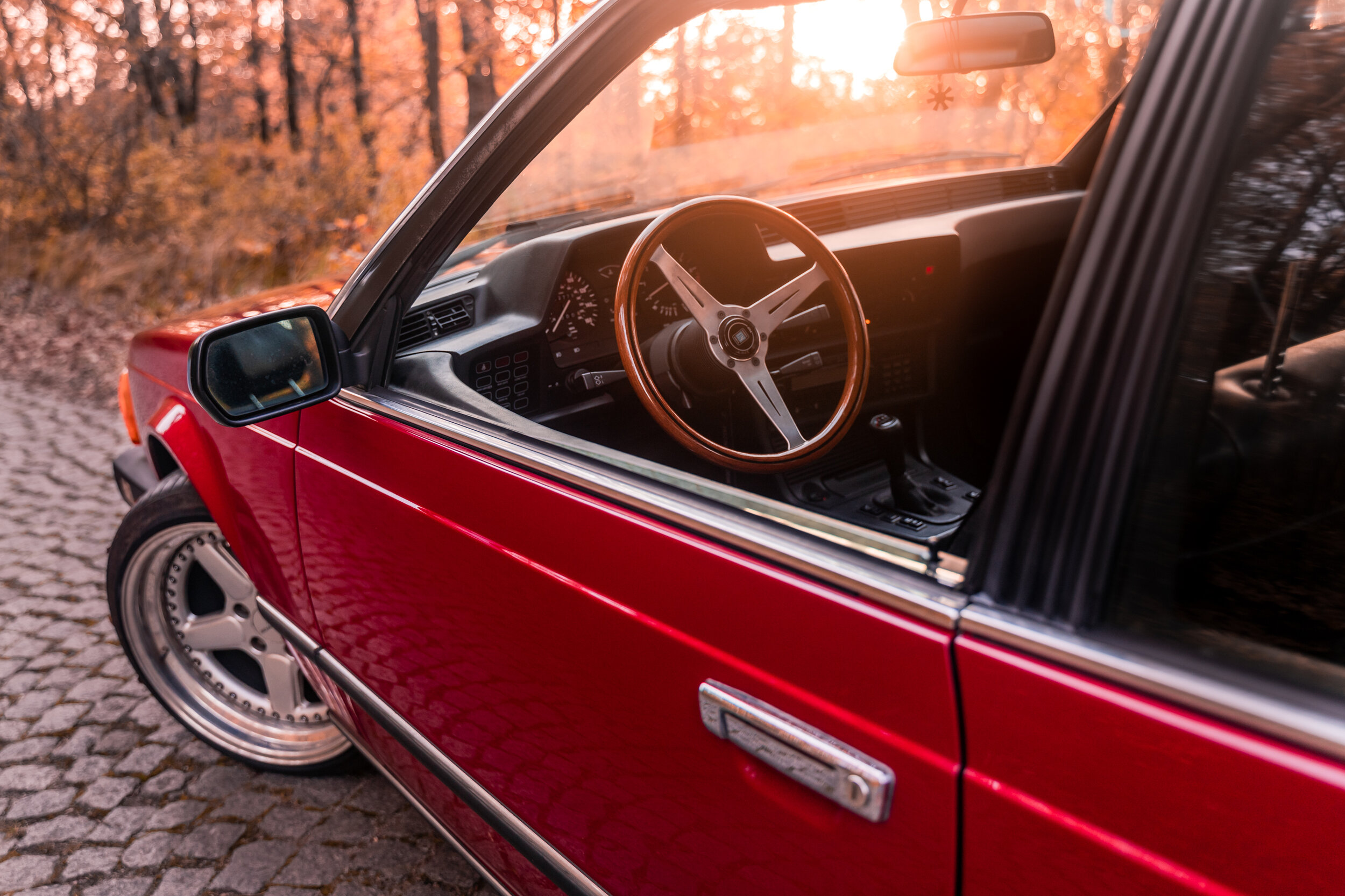 _IMG8010_1.jpg