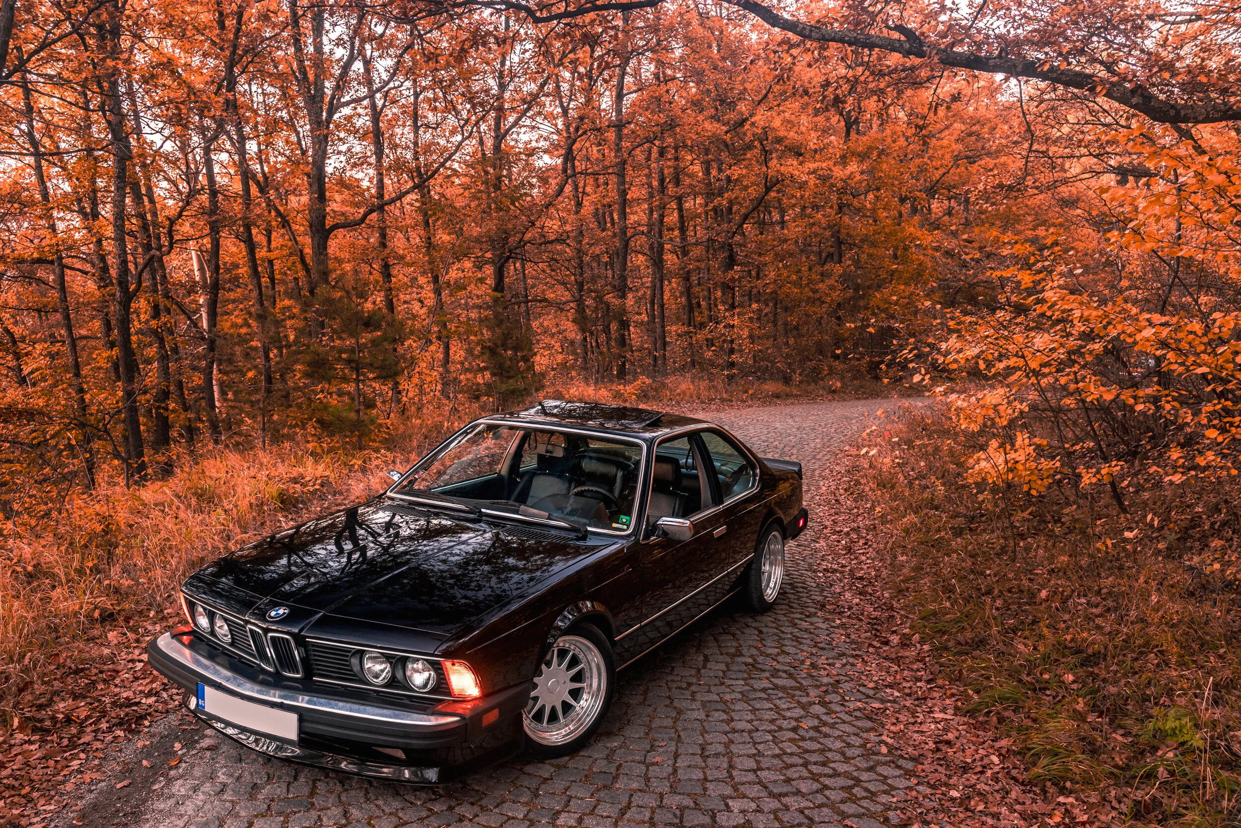 EX05_2_Final_3_1 copy.jpg