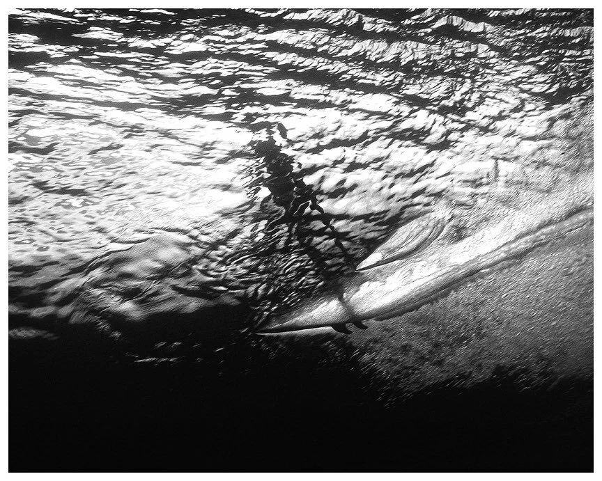 Throwback to my last trip to Teahupo’o Tahiti ! 
Such a good feeling to experienced being in the water and shoot pictures in that legendary wave. I’m definitely focus on more stuff in Ocean and Mountains. Keep on touch 🤘🏻