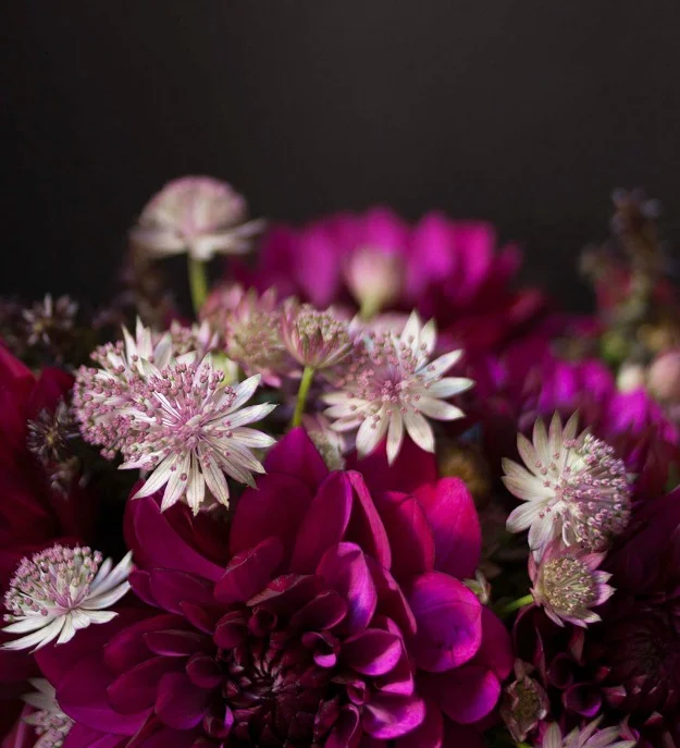 The black wall series #1