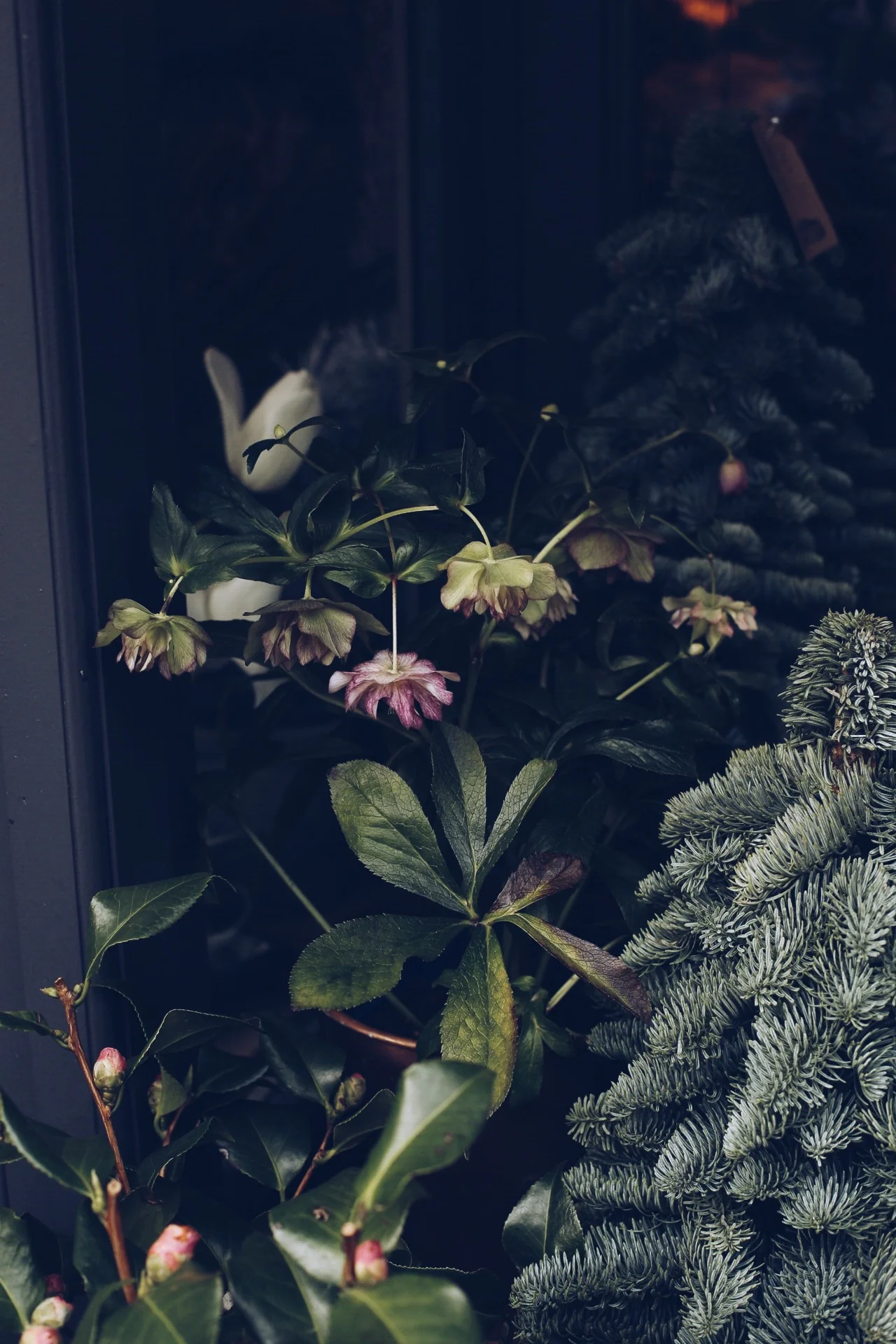 Oz garden - a Parisian flowershop