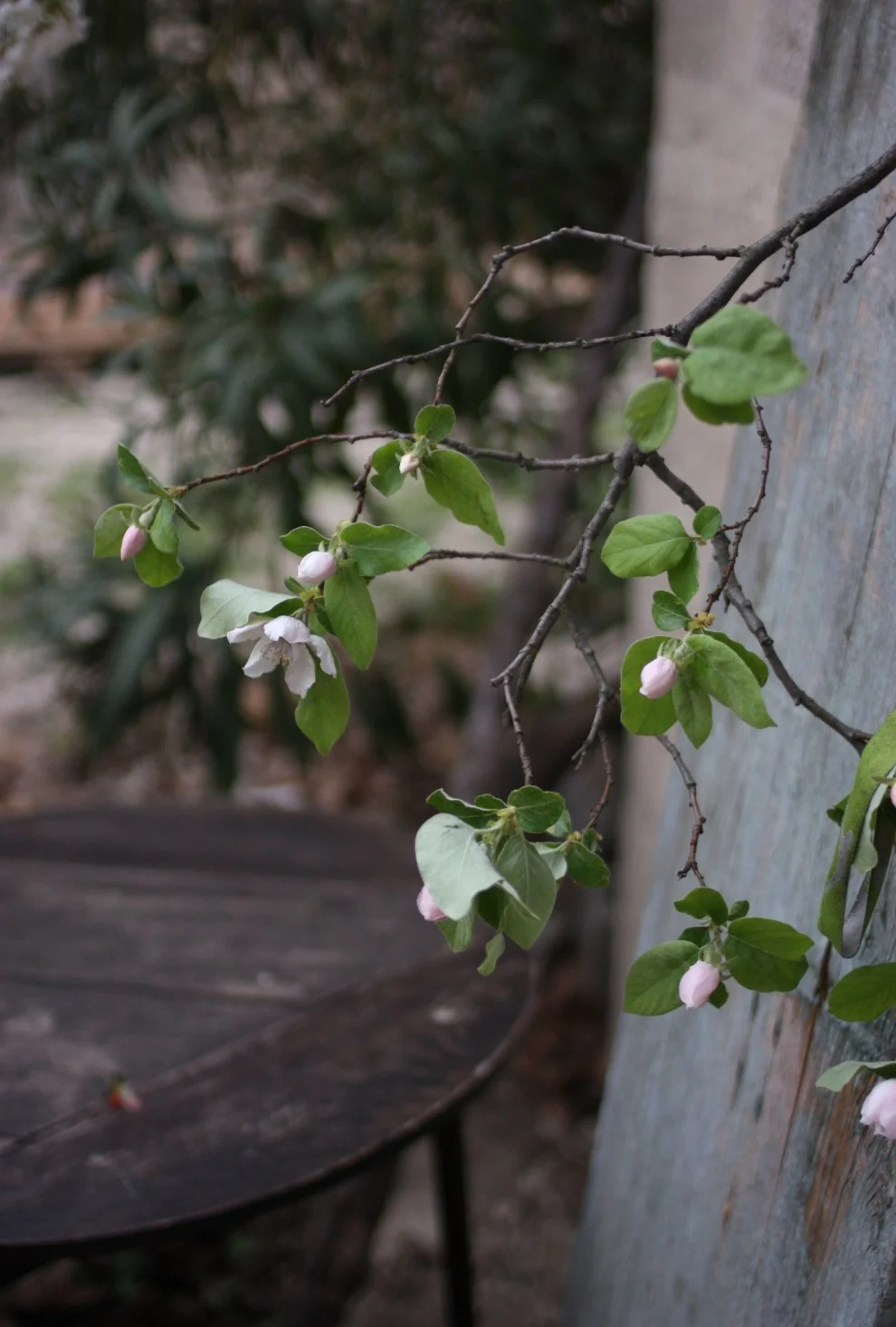 Joyeuse Clique - A Styling Workshop for Bloggers in Provence