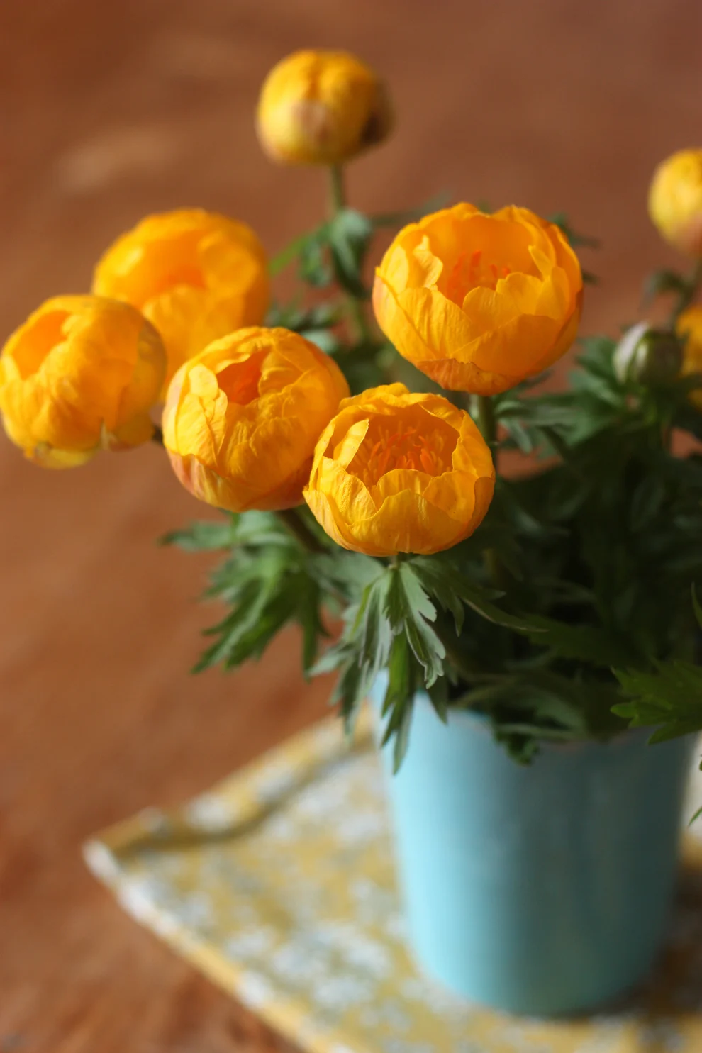 A bouquet of globe flowers