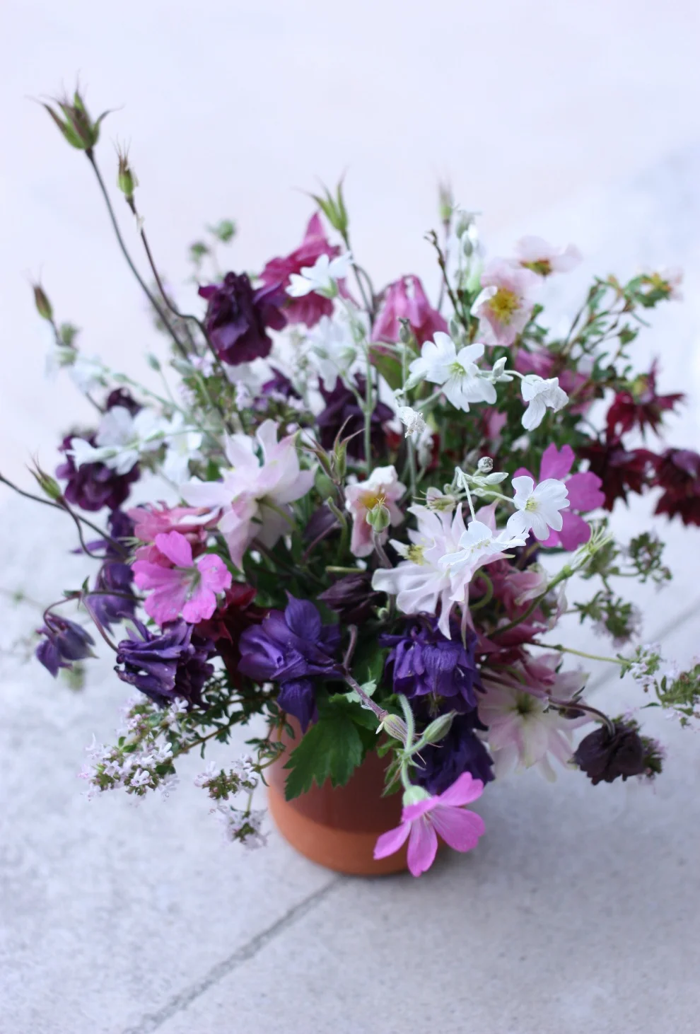 From the garden with love